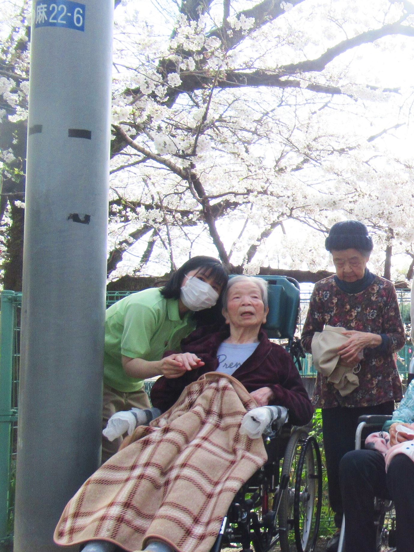 お花見-4　ニチイホーム柿生