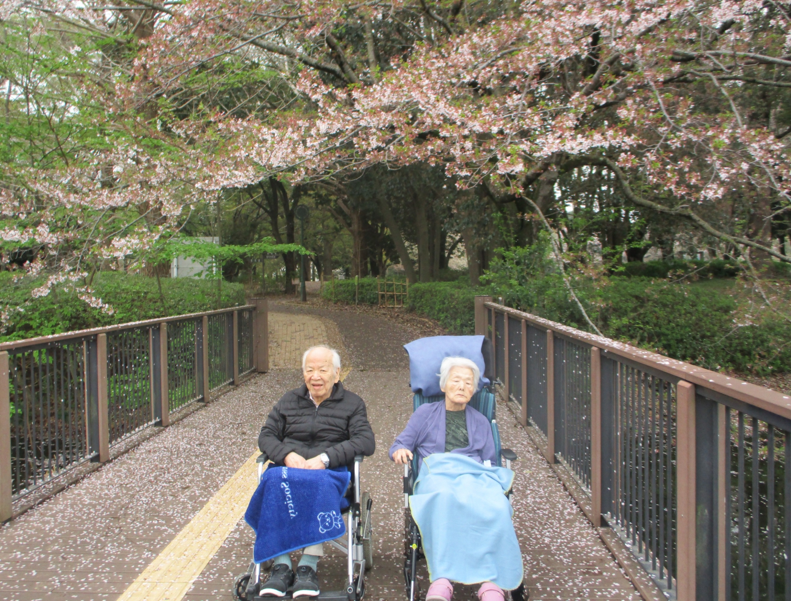 花見②-5　ニチイホーム柏の葉