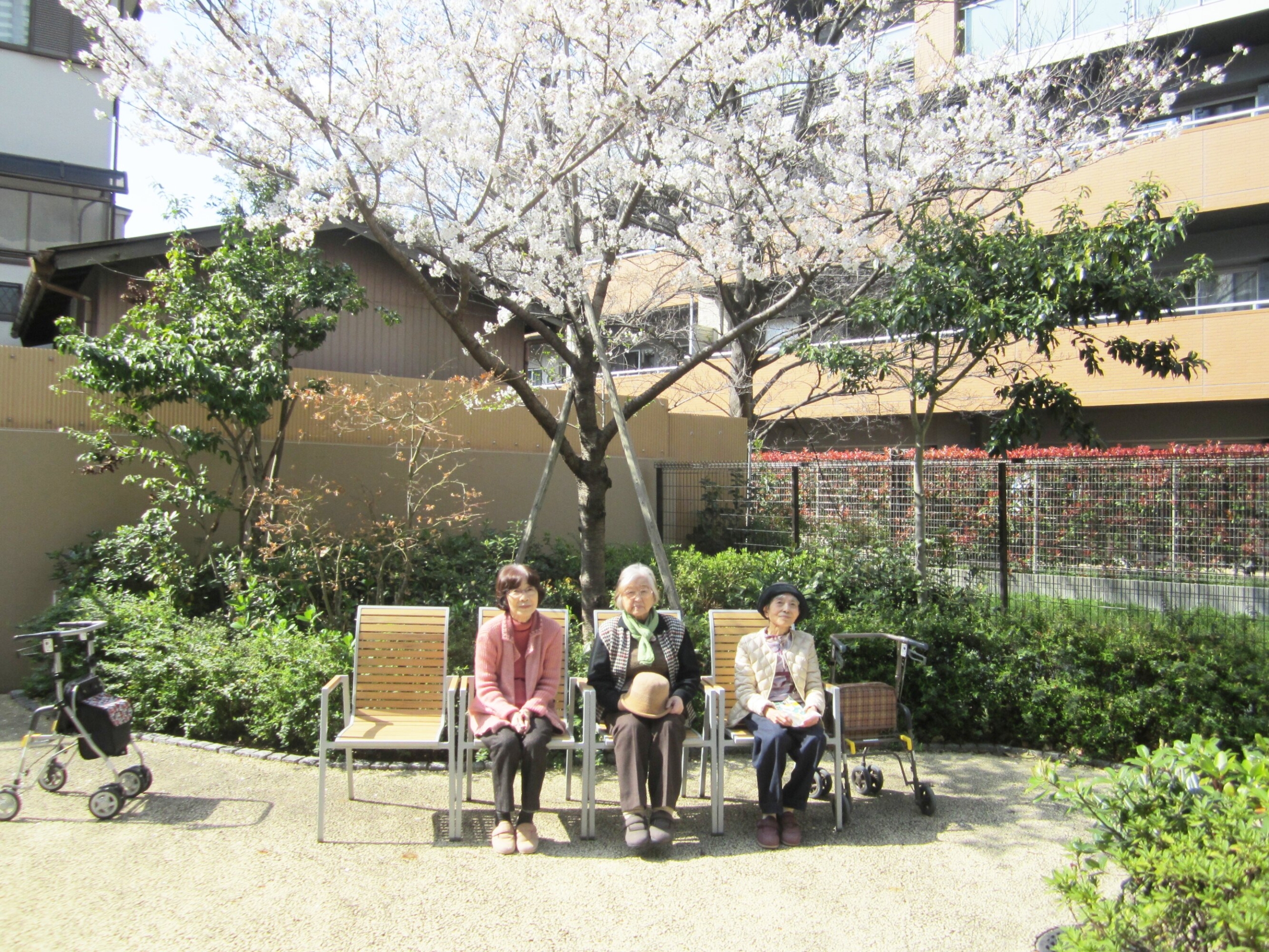 お花見会-1　ニチイホーム川口