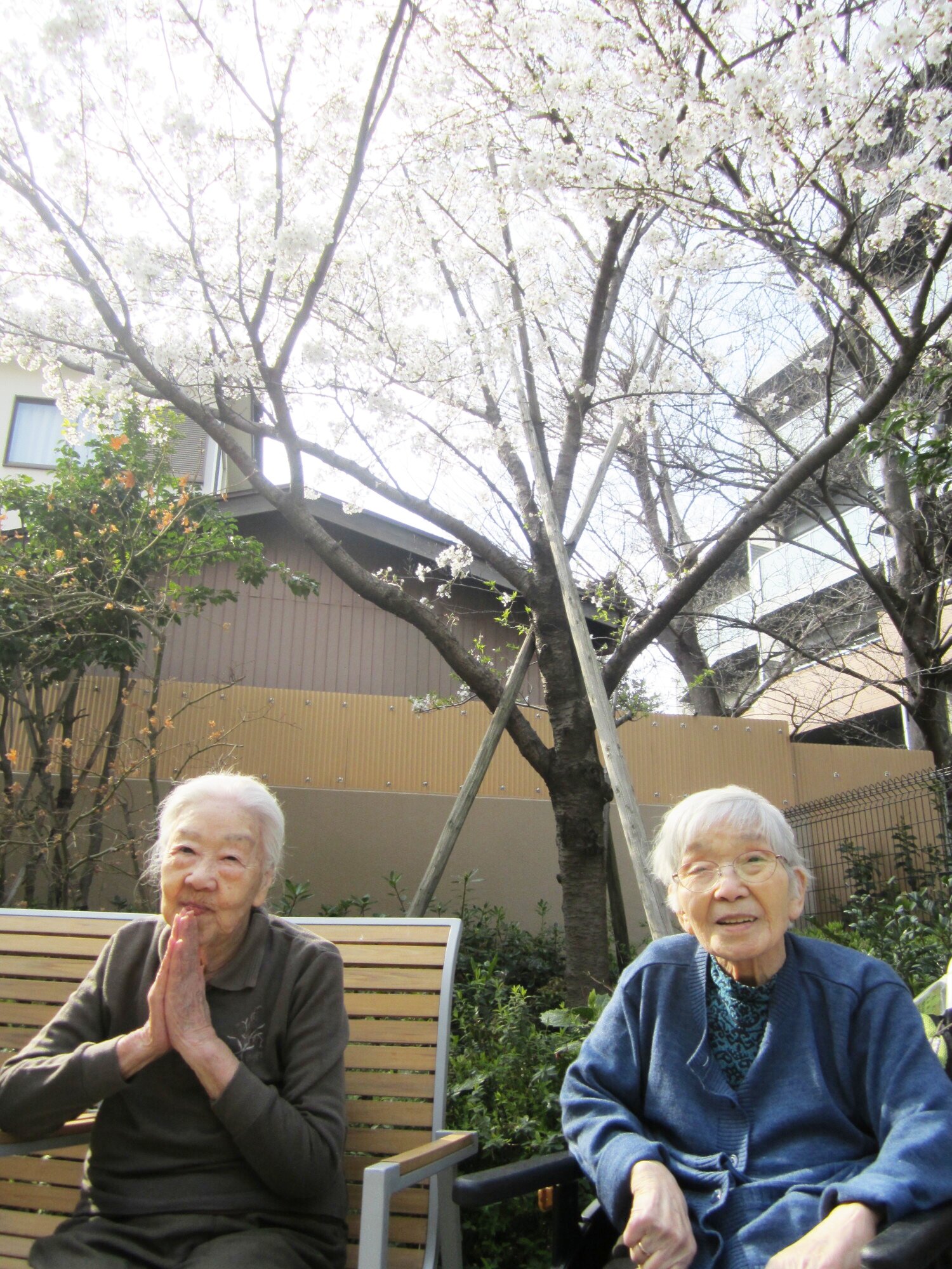 お花見会-4　ニチイホーム川口