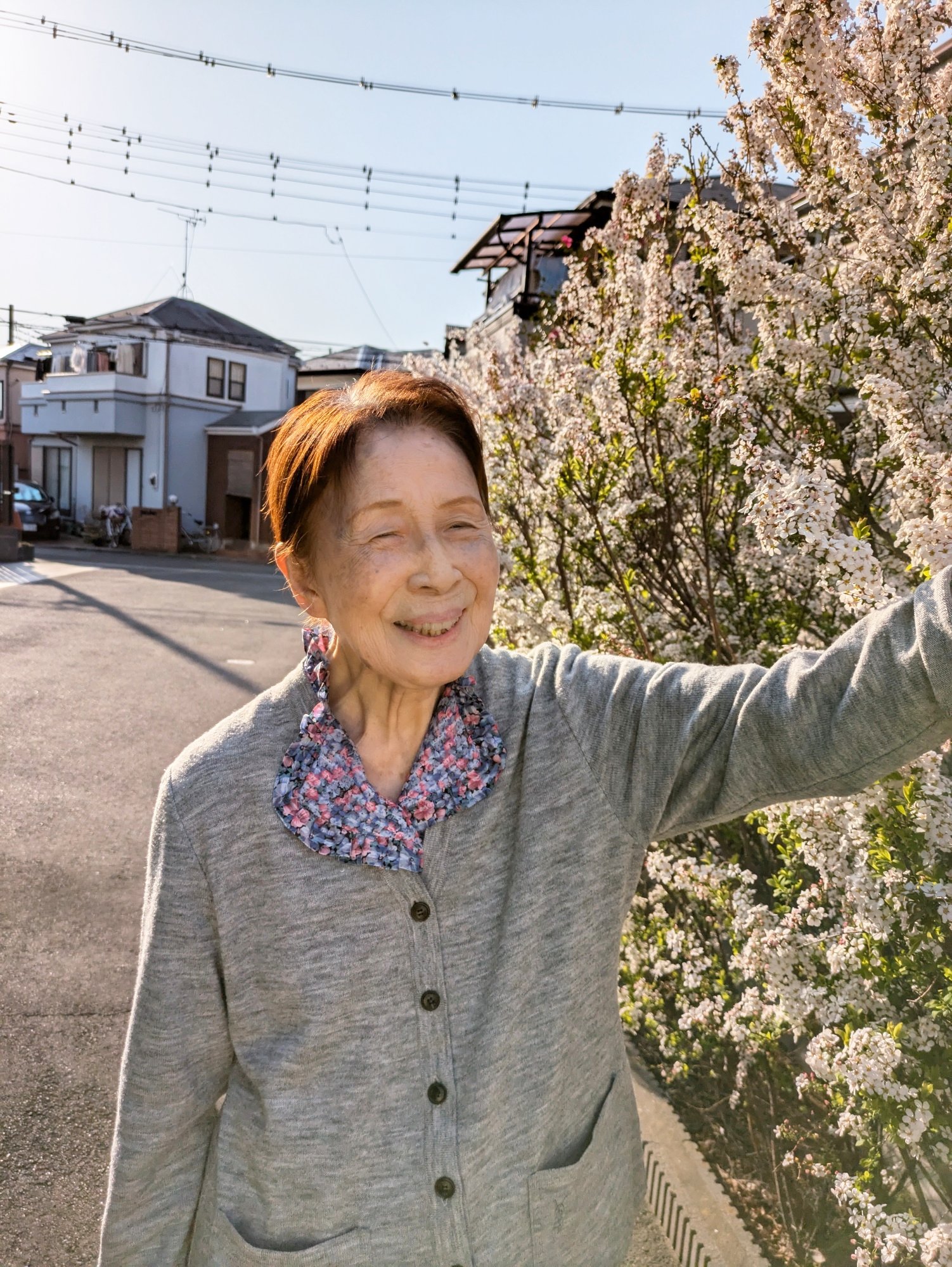 お花見-2　ニチイホーム北浦和