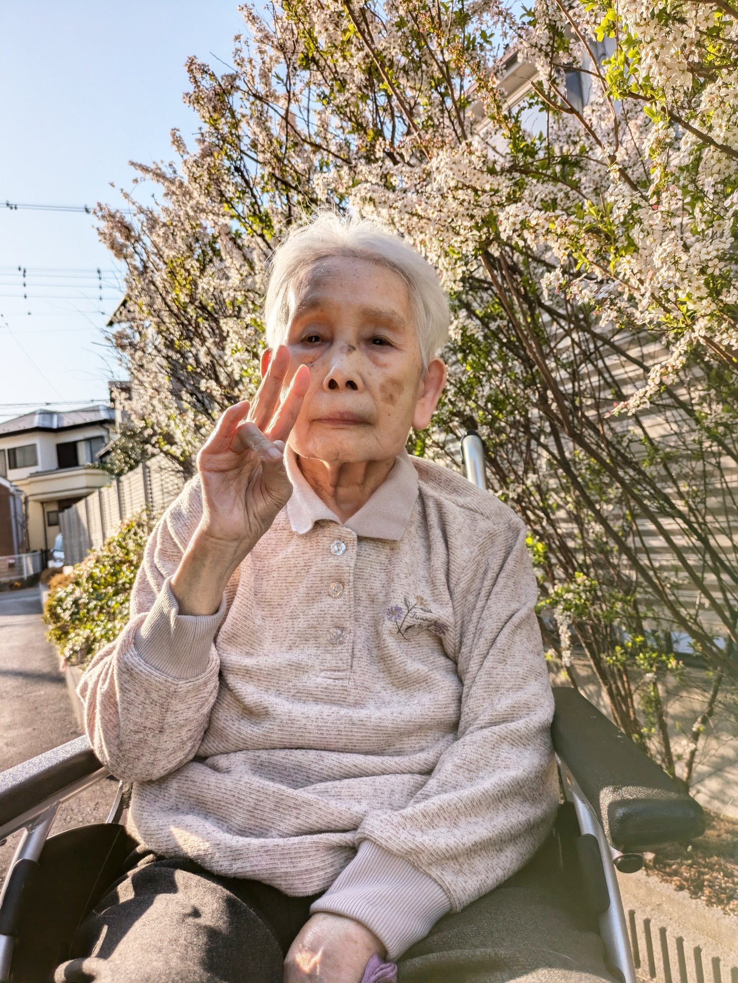 お花見-3　ニチイホーム北浦和