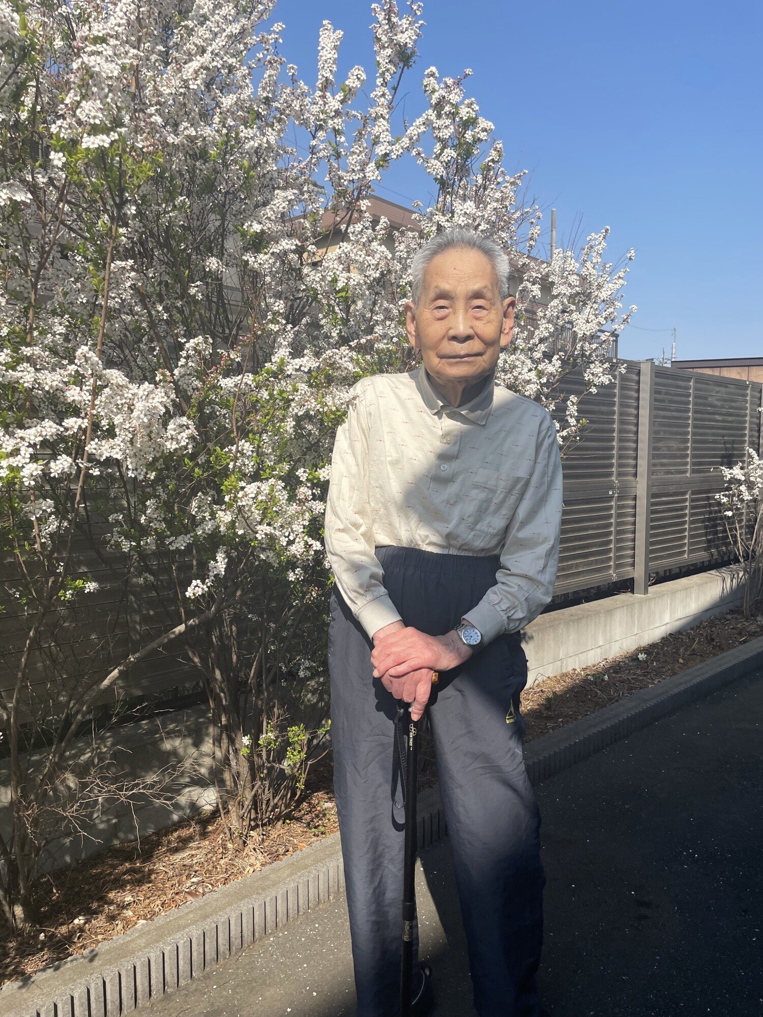 お花見-5　ニチイホーム北浦和
