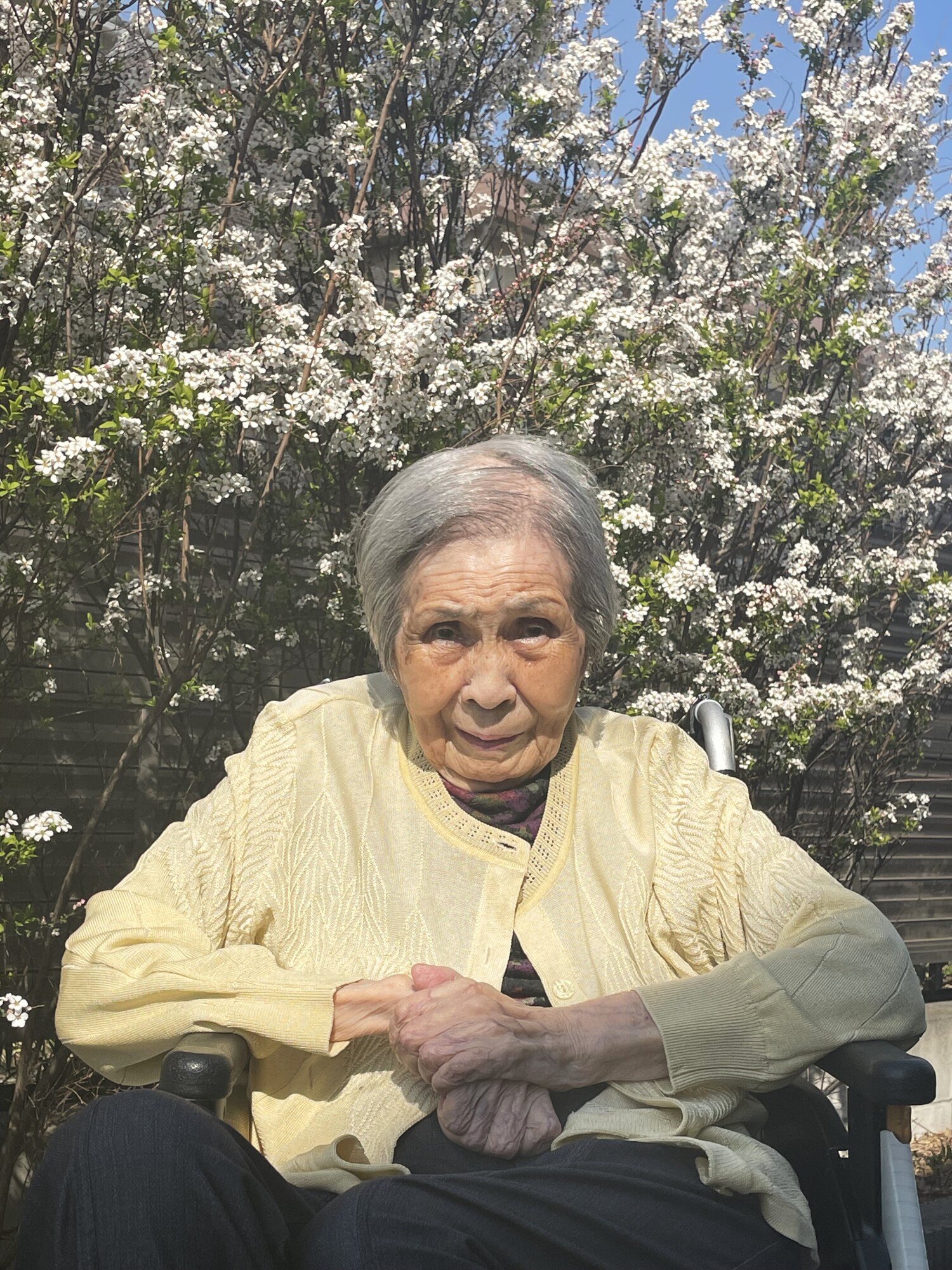 お花見-6　ニチイホーム北浦和