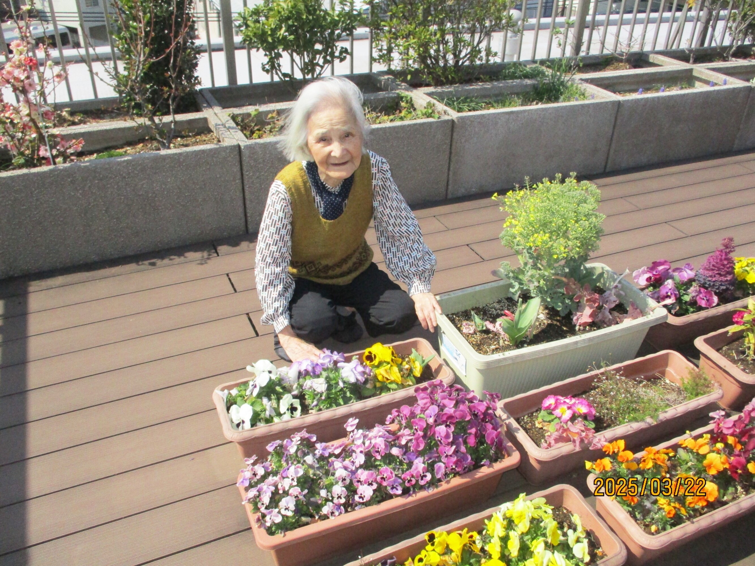 屋上花壇に水やり-1　ニチイホーム久が原