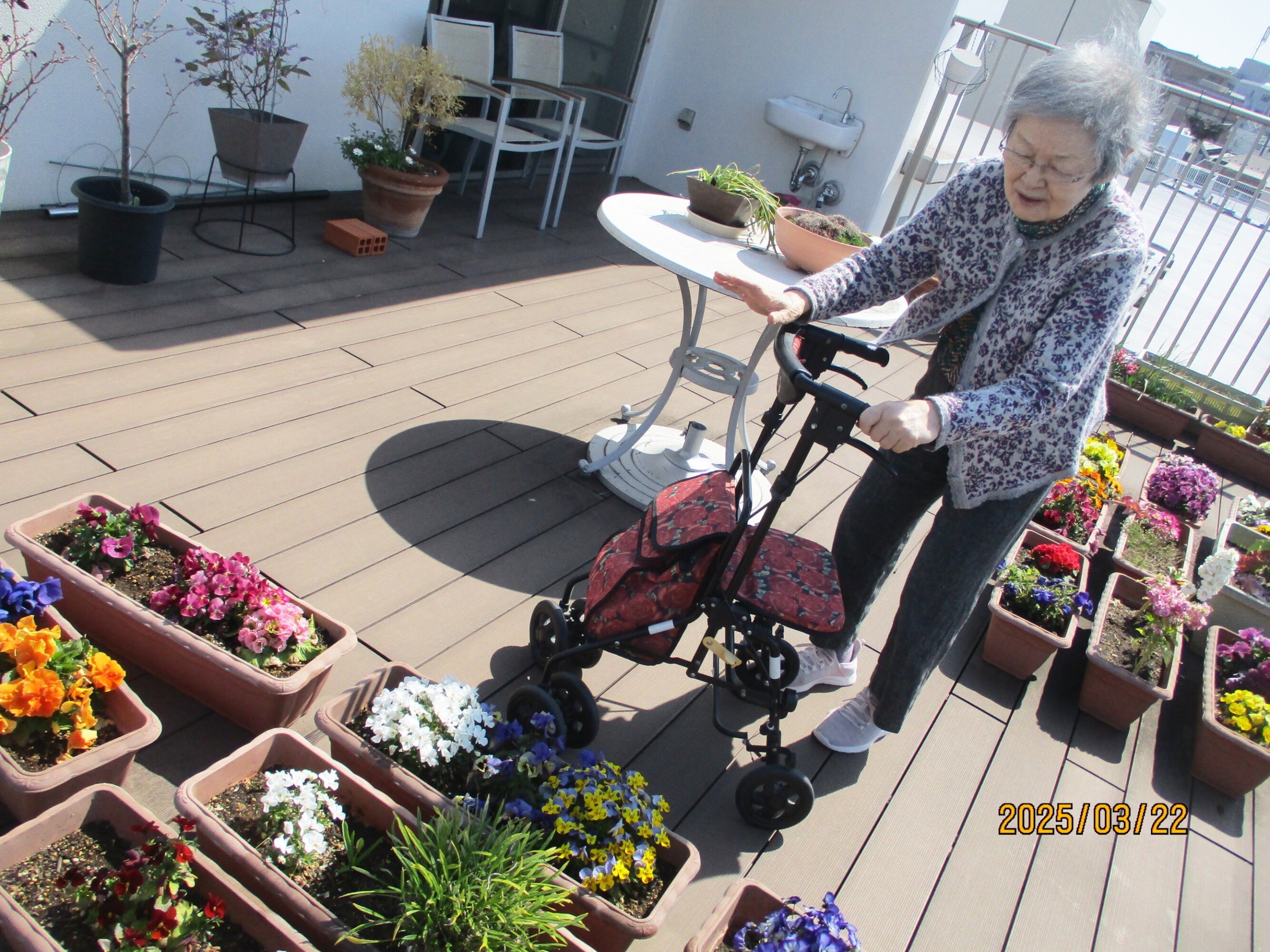 屋上花壇に水やり-3　ニチイホーム久が原