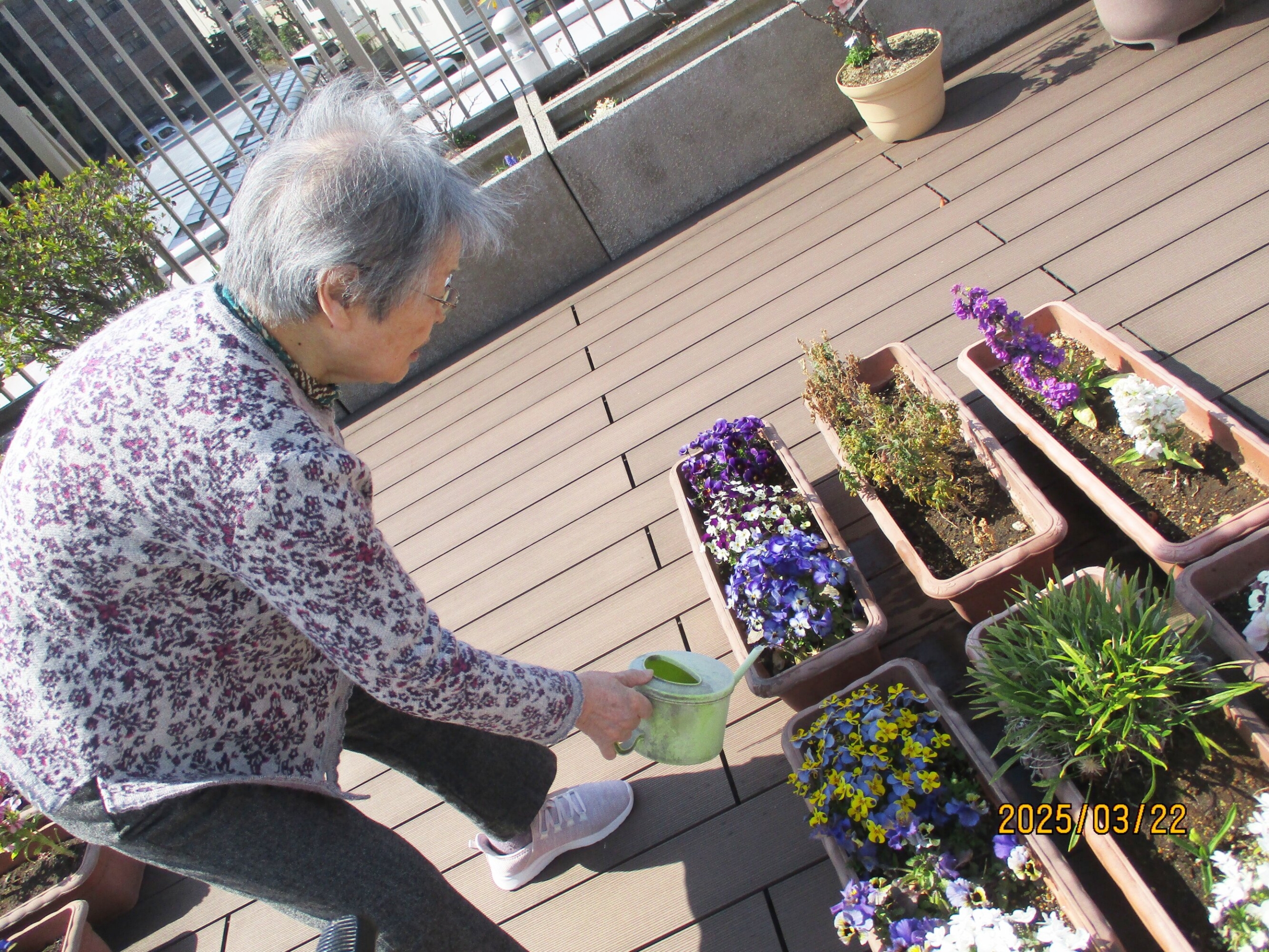 屋上花壇に水やり-4　ニチイホーム久が原