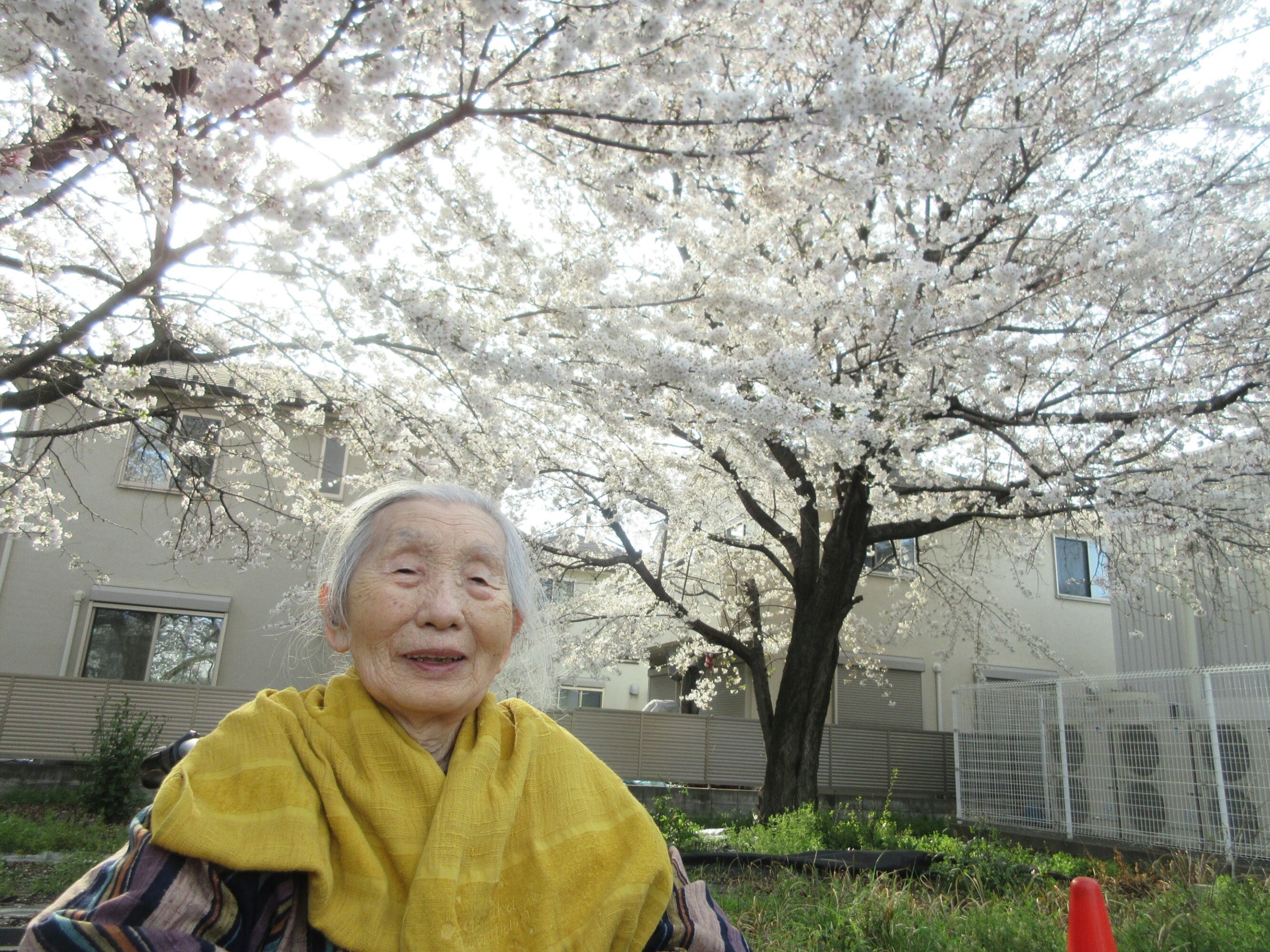 お花見-2　ニチイホーム国立