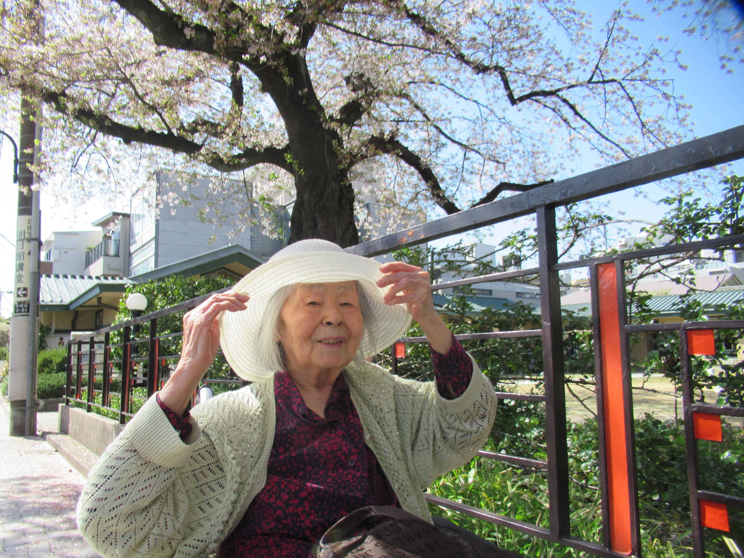 お花見-1　ニチイホーム目白
