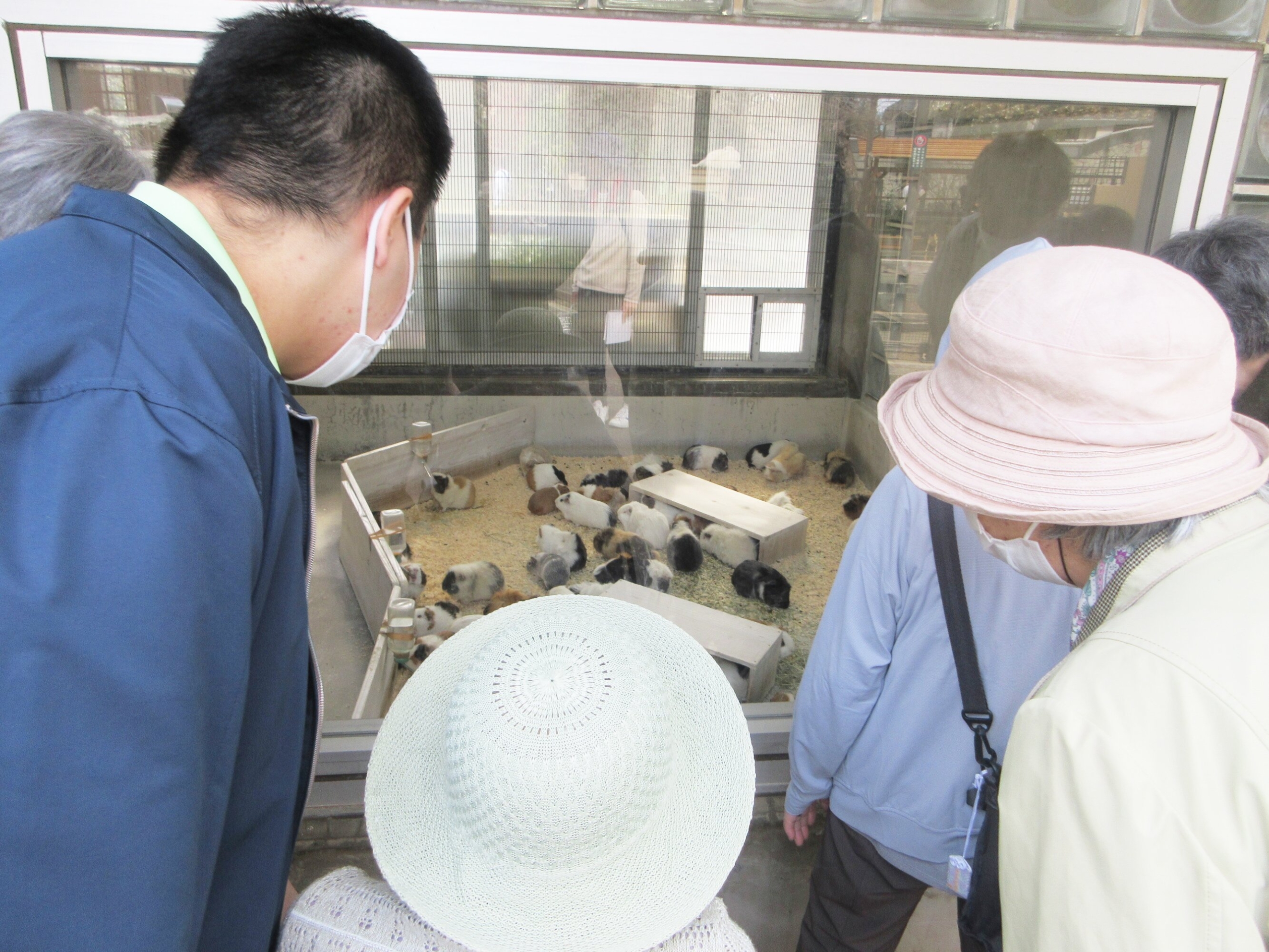 井の頭自然文化園-2　ニチイホーム南大泉