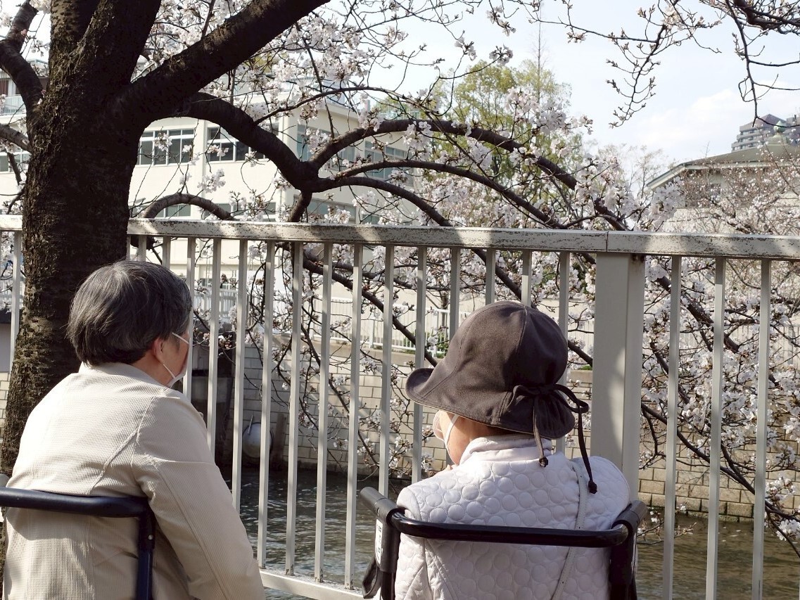 お花見へ②-2　ニチイホーム南品川
