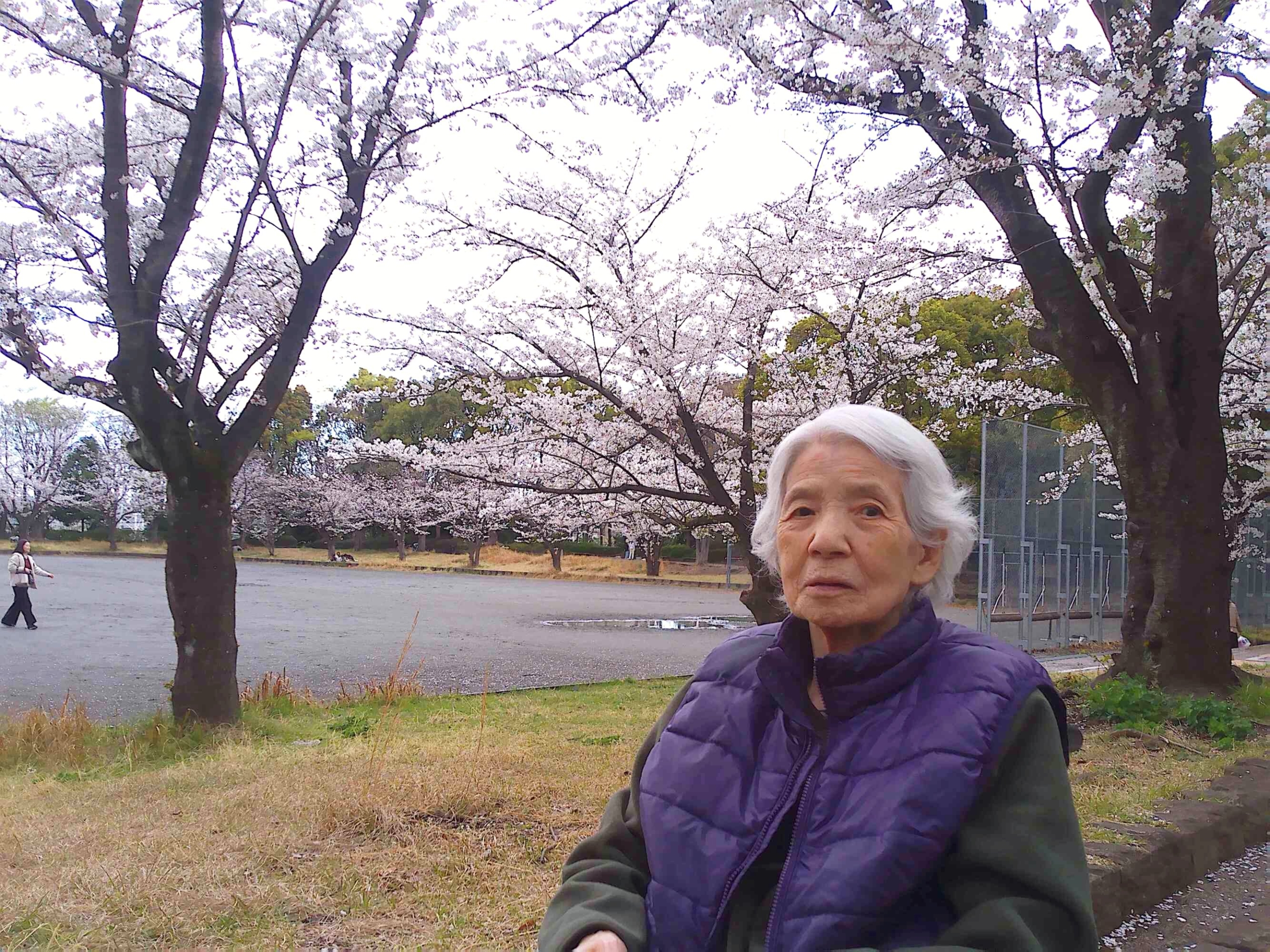 お花見-1　ニチイホーム仲町台