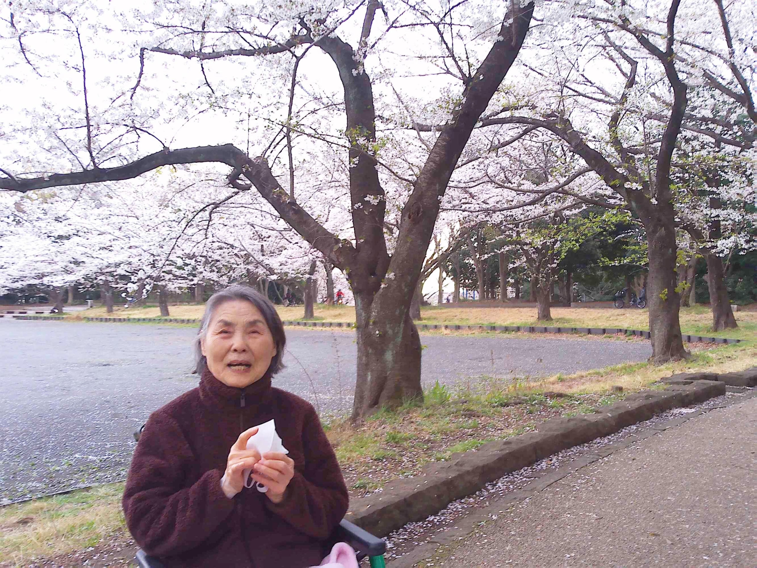お花見-2　ニチイホーム仲町台