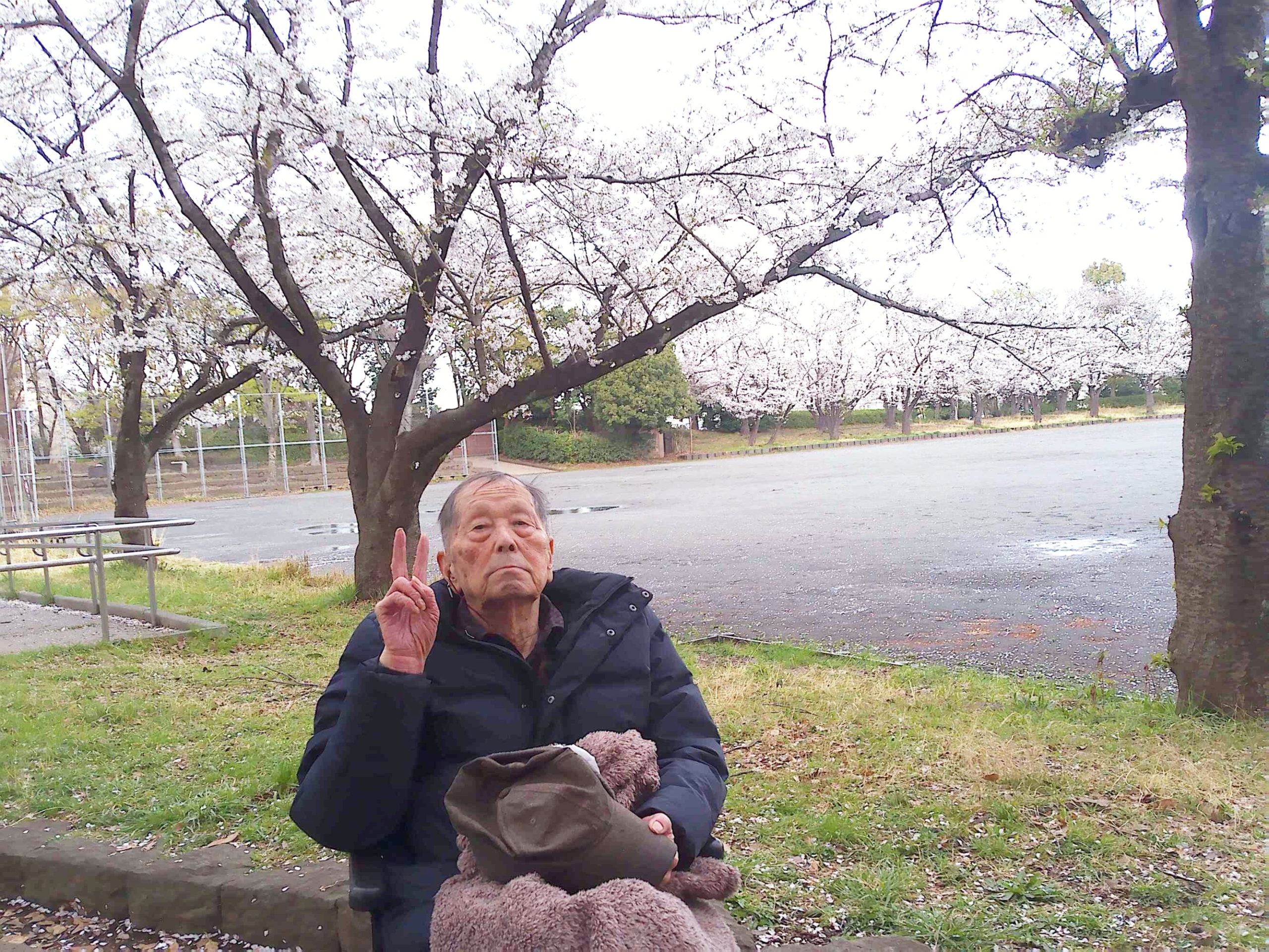 お花見-3　ニチイホーム仲町台