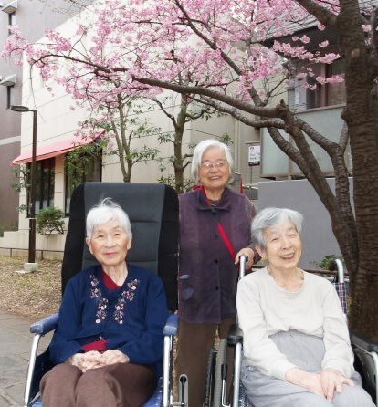 桜見-1　ニチイホーム仲町台Ⅱ番館
