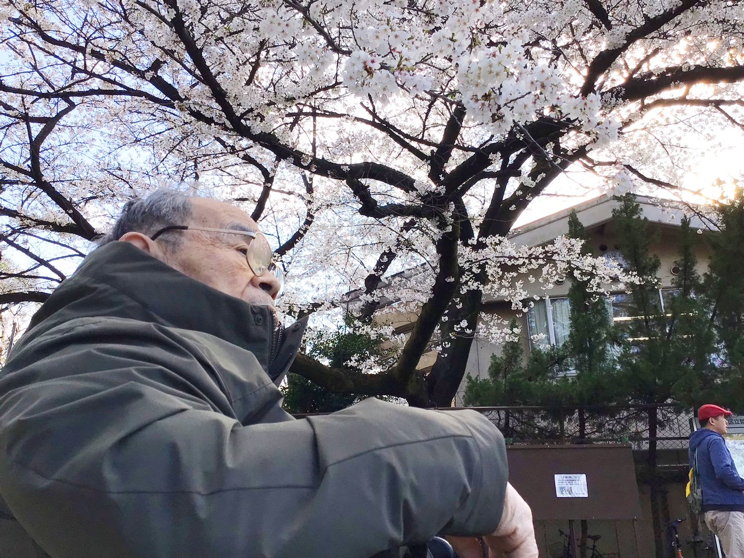お花見　哲学堂公園編-1　ニチイホーム中野南台