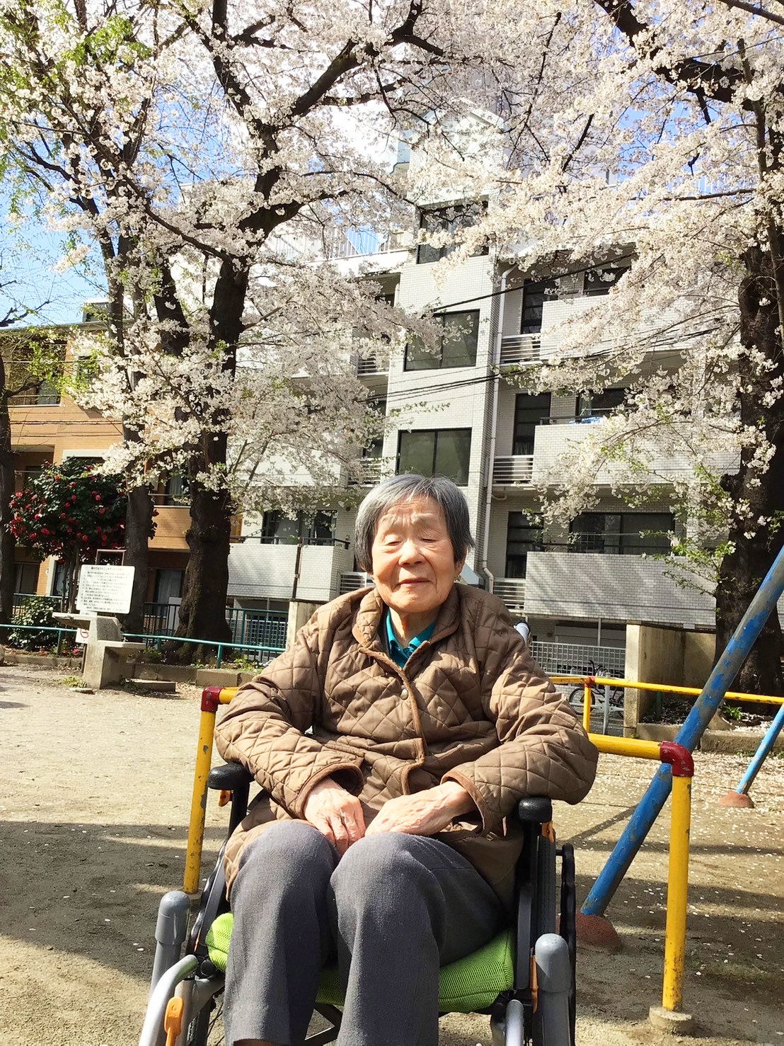 お花見　哲学堂公園編-4　ニチイホーム中野南台