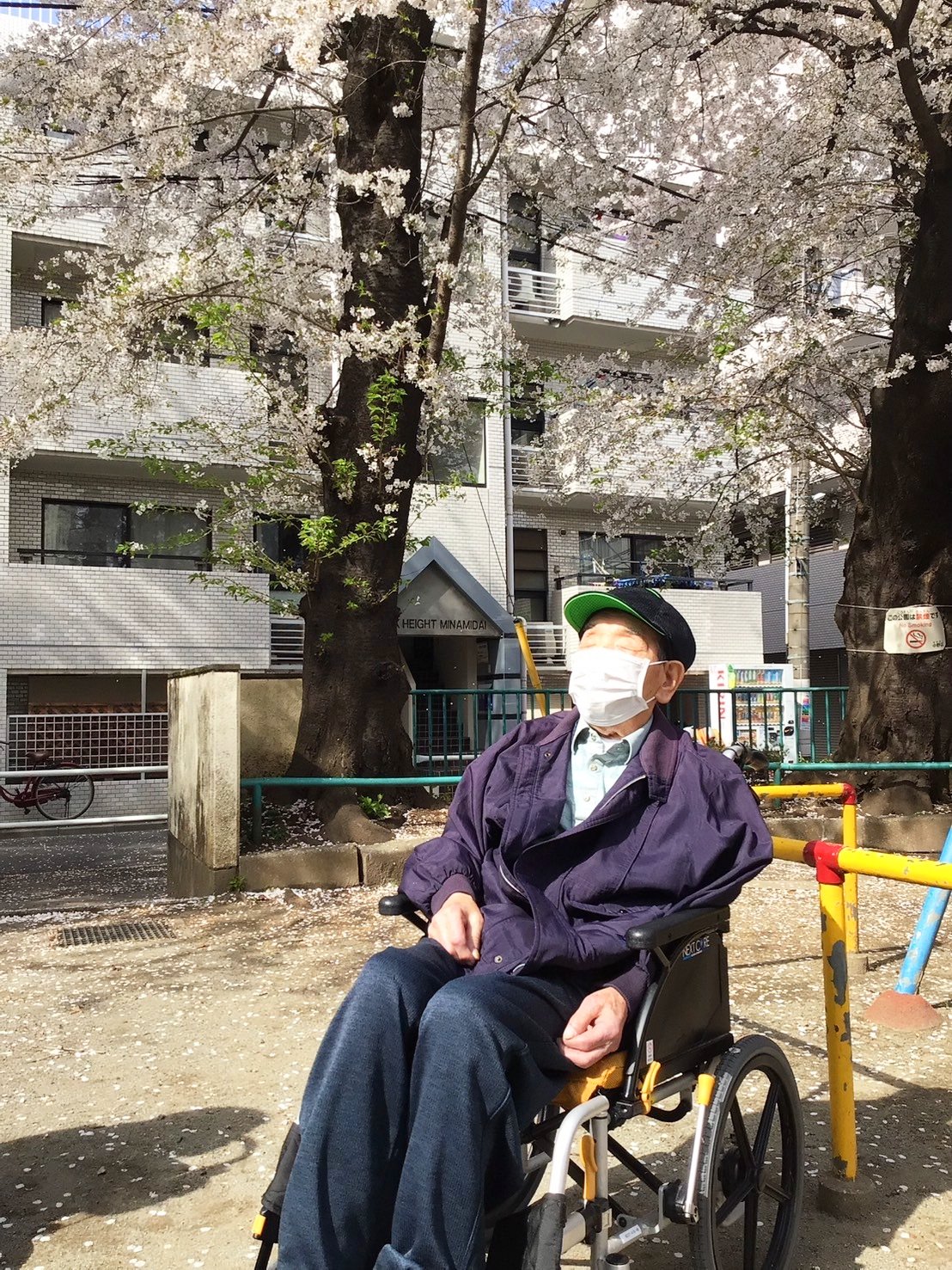 お花見　哲学堂公園編-6　ニチイホーム中野南台