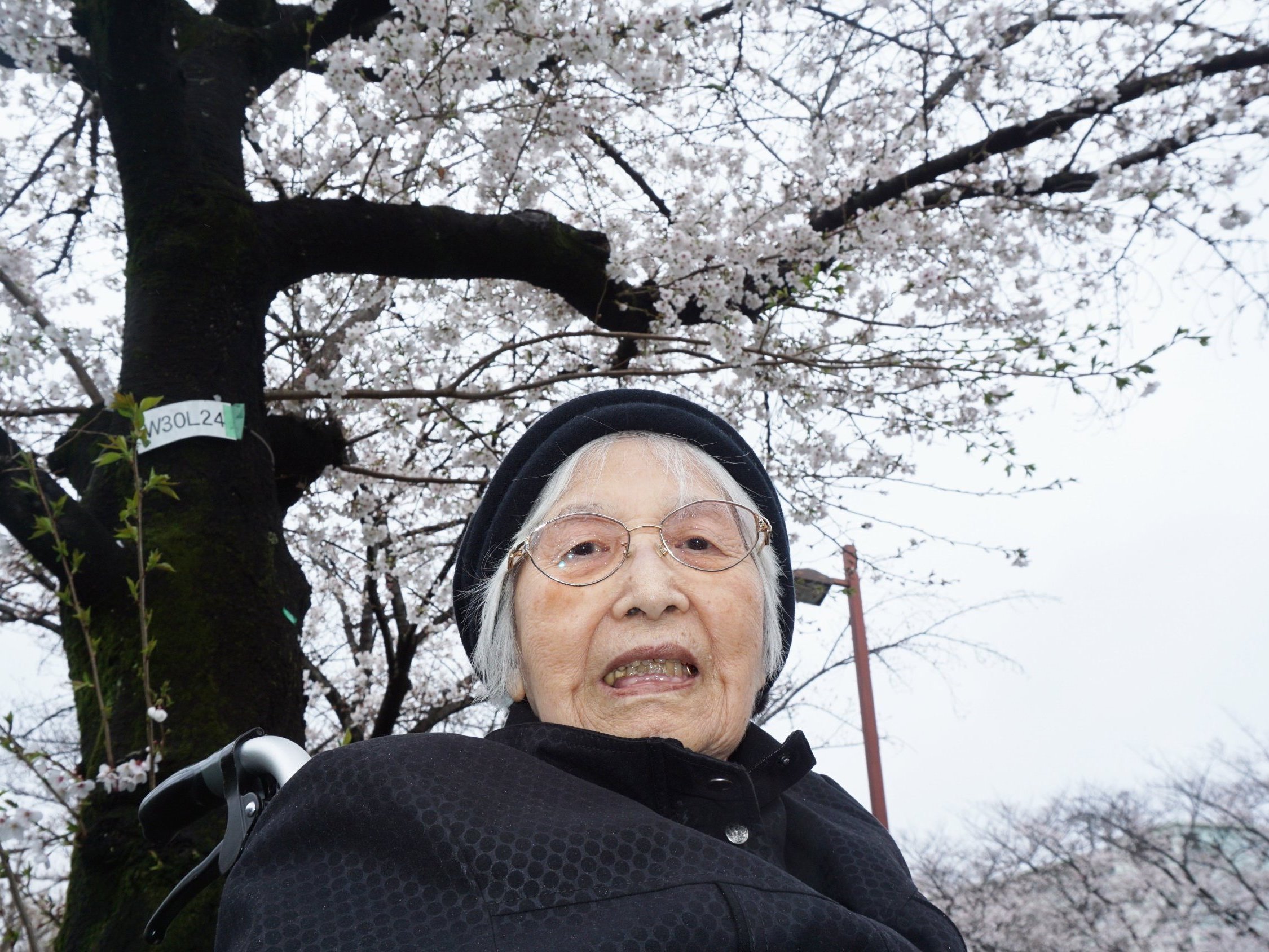 お花見-1　ニチイホーム練馬高野台