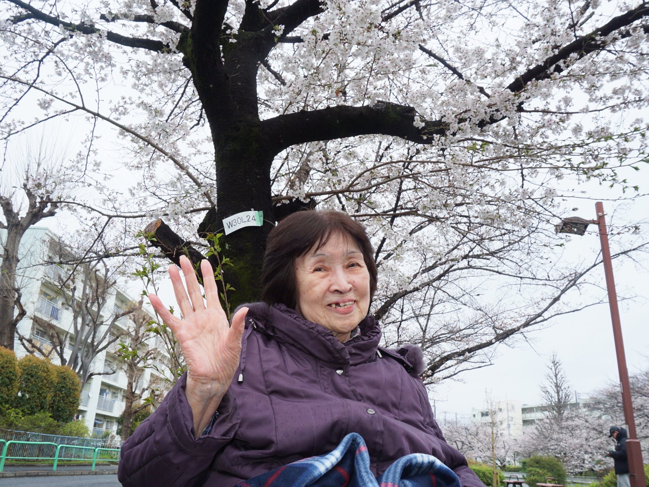 お花見-2　ニチイホーム練馬高野台