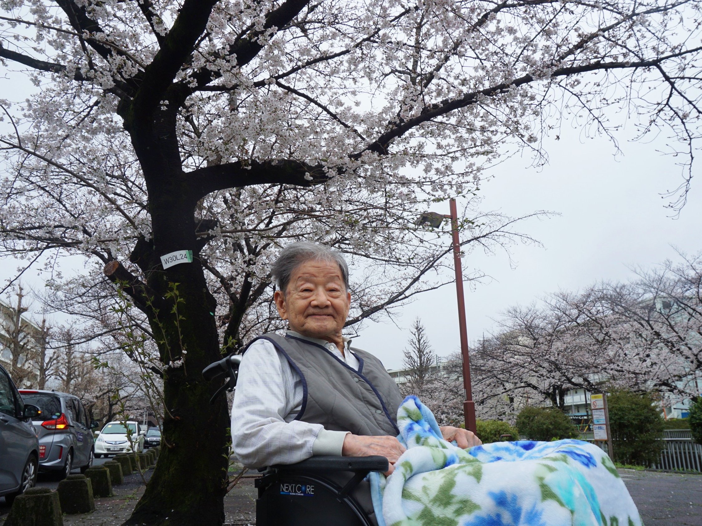 お花見-3　ニチイホーム練馬高野台