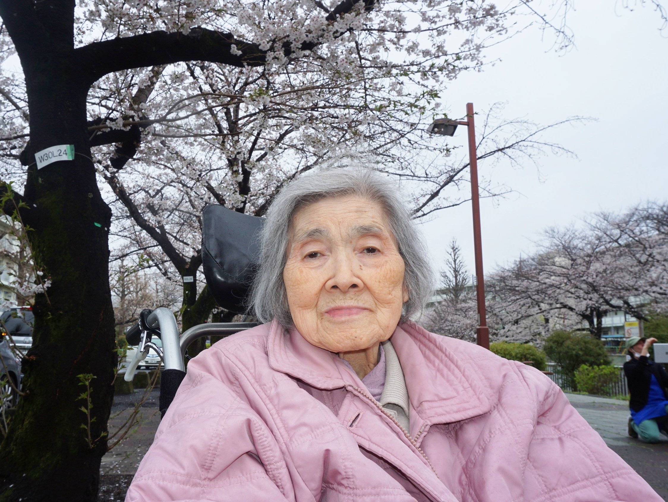 お花見-4　ニチイホーム練馬高野台