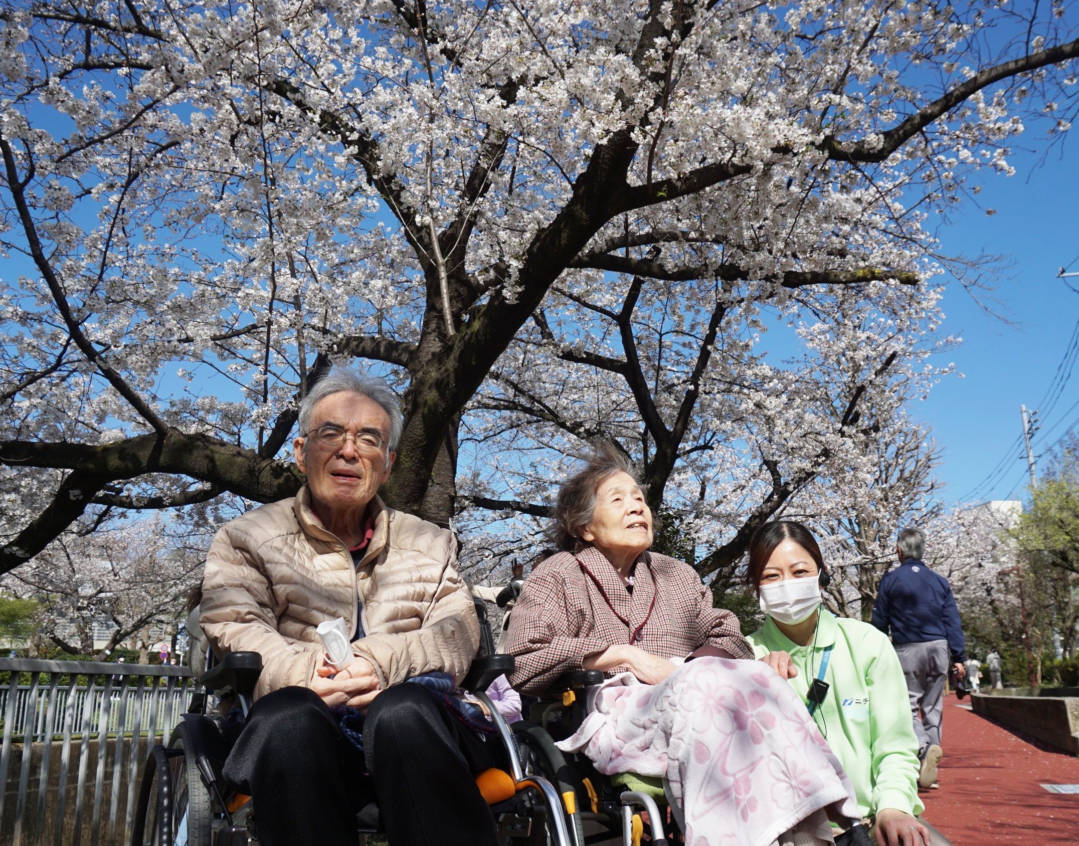 お花見-5　ニチイホーム練馬高野台
