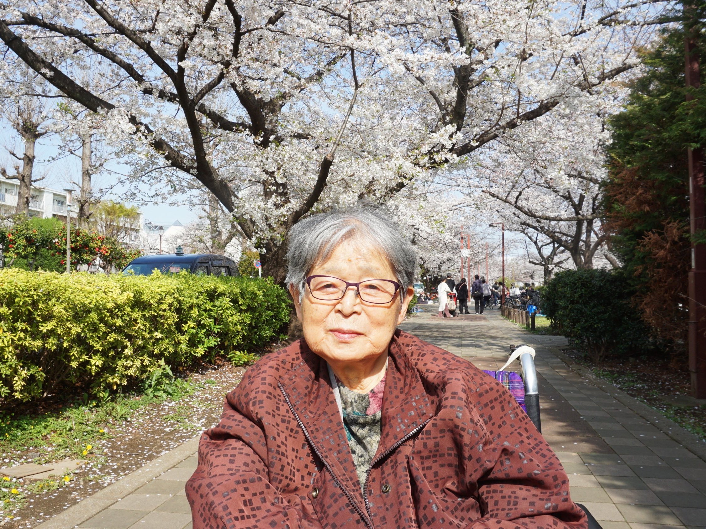 お花見-6　ニチイホーム練馬高野台