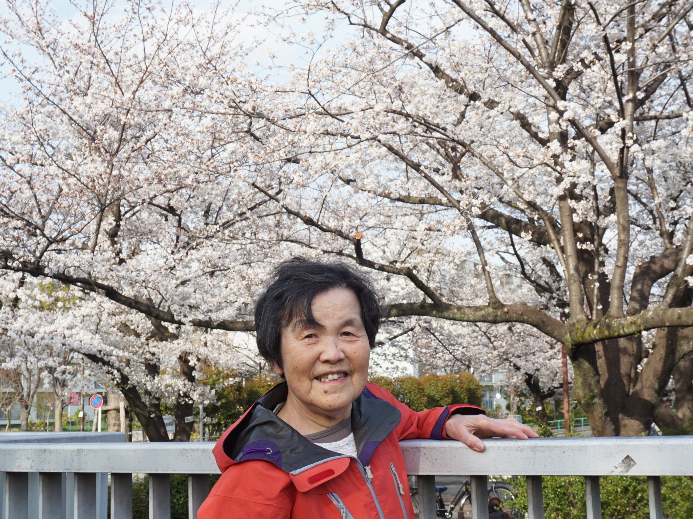 お花見②-2　ニチイホーム練馬高野台