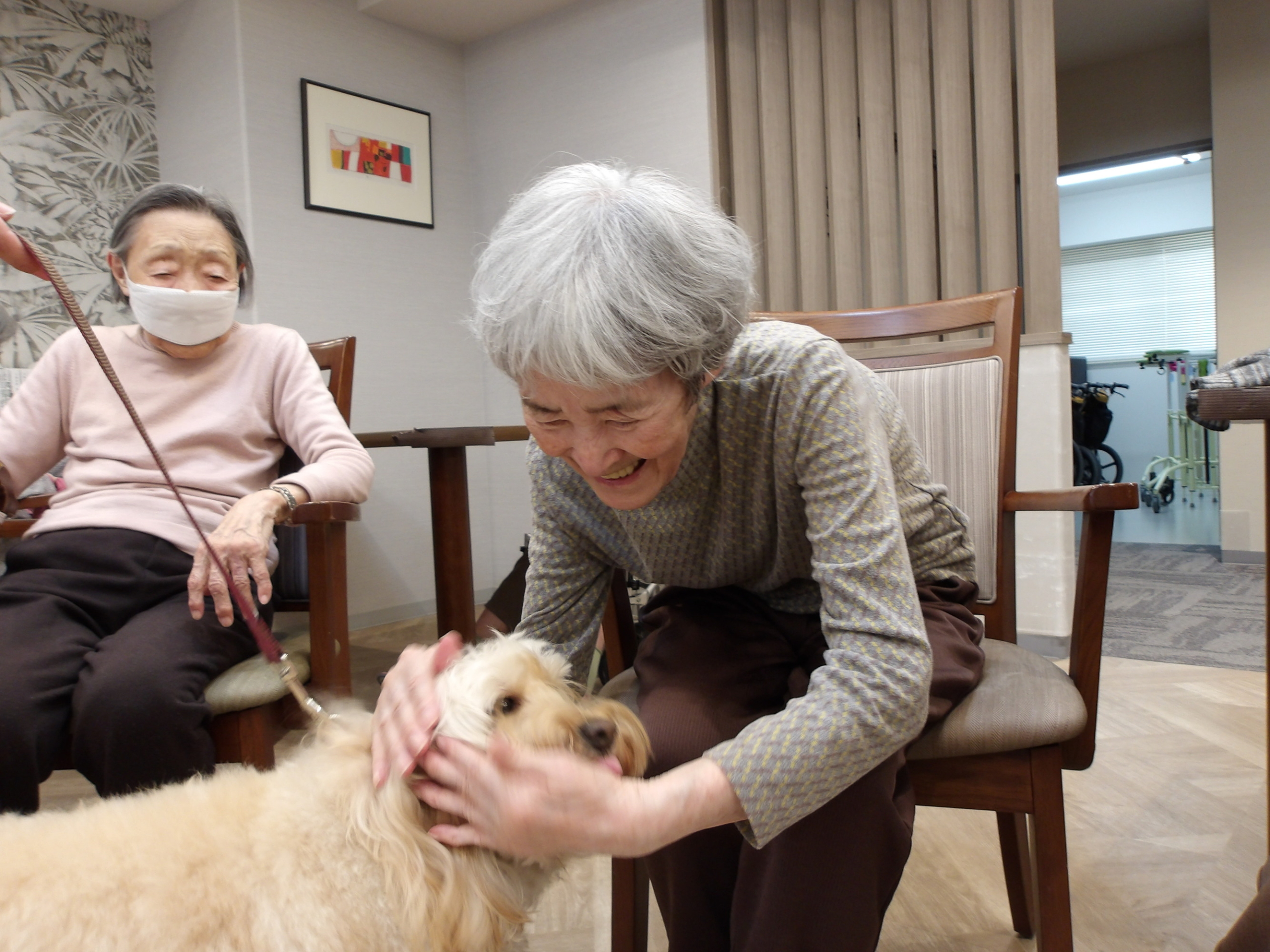セラピー犬とふれあい-2　ニチイホーム野方