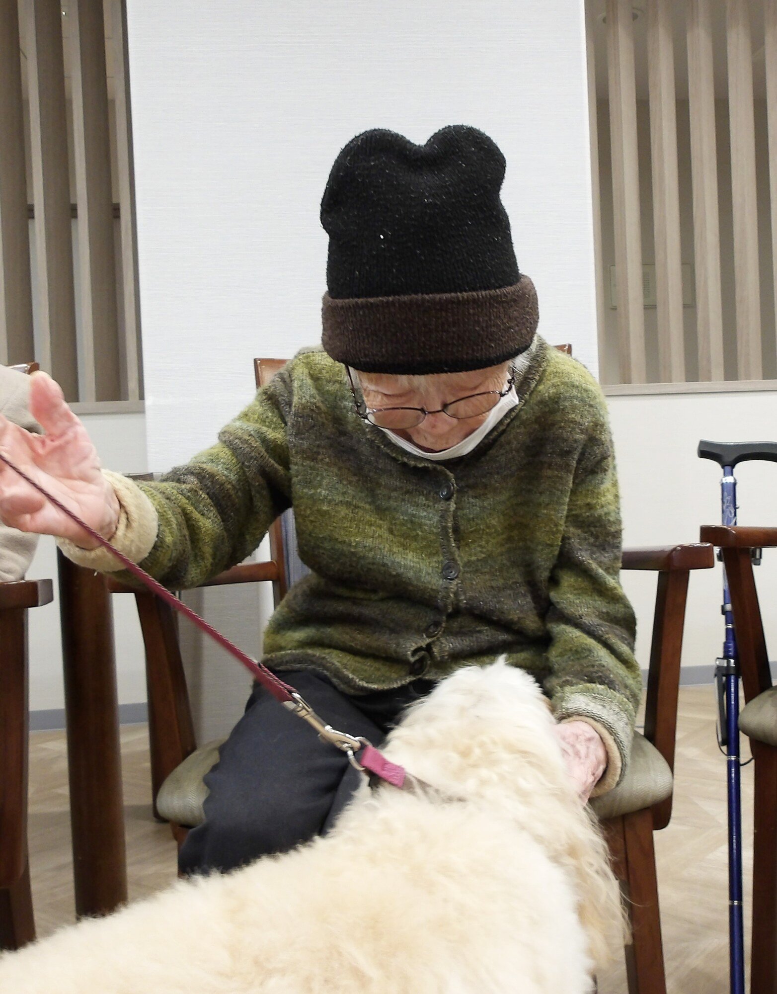 セラピー犬とふれあい-3　ニチイホーム野方