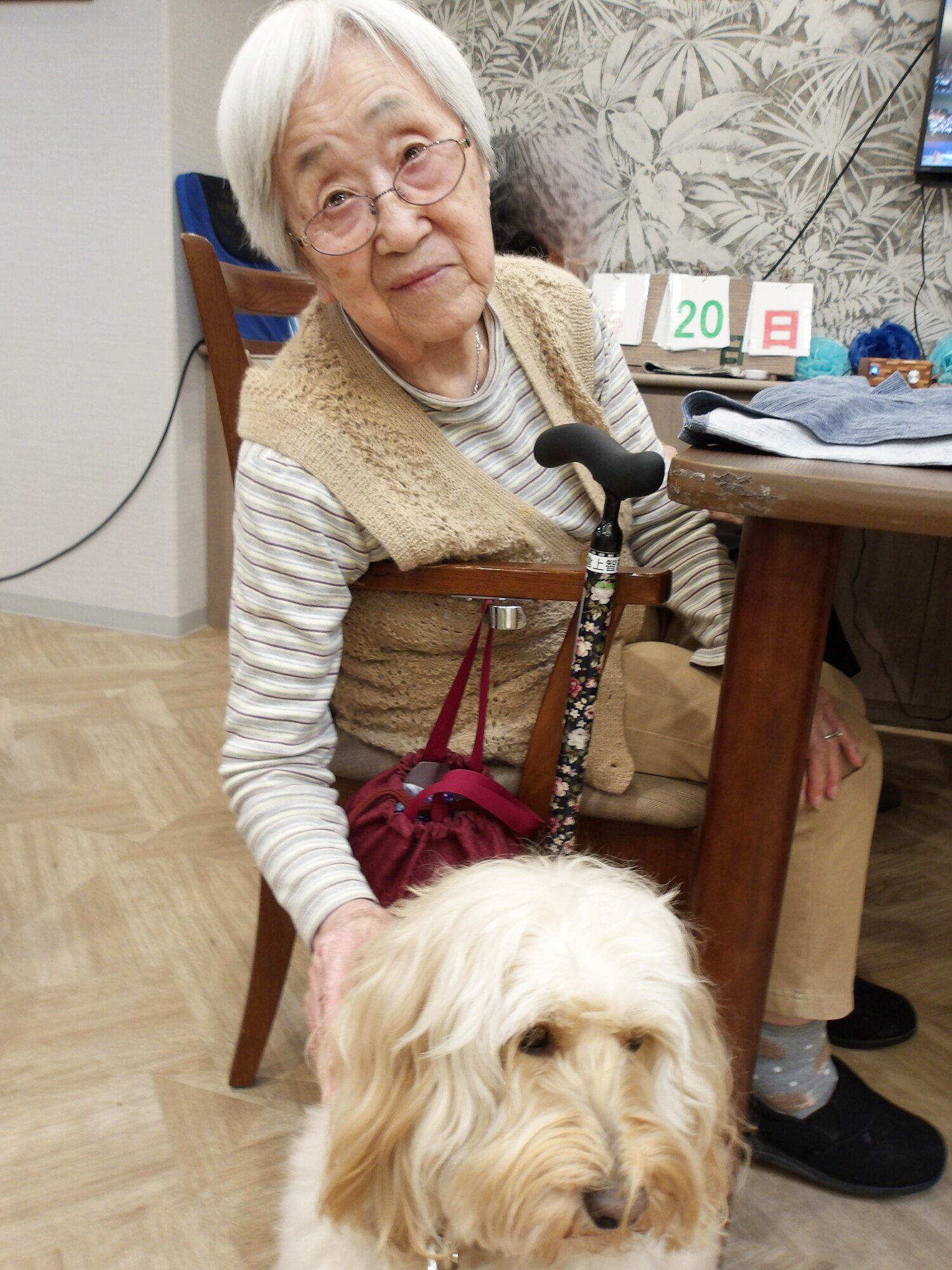 セラピー犬とふれあい-5　ニチイホーム野方