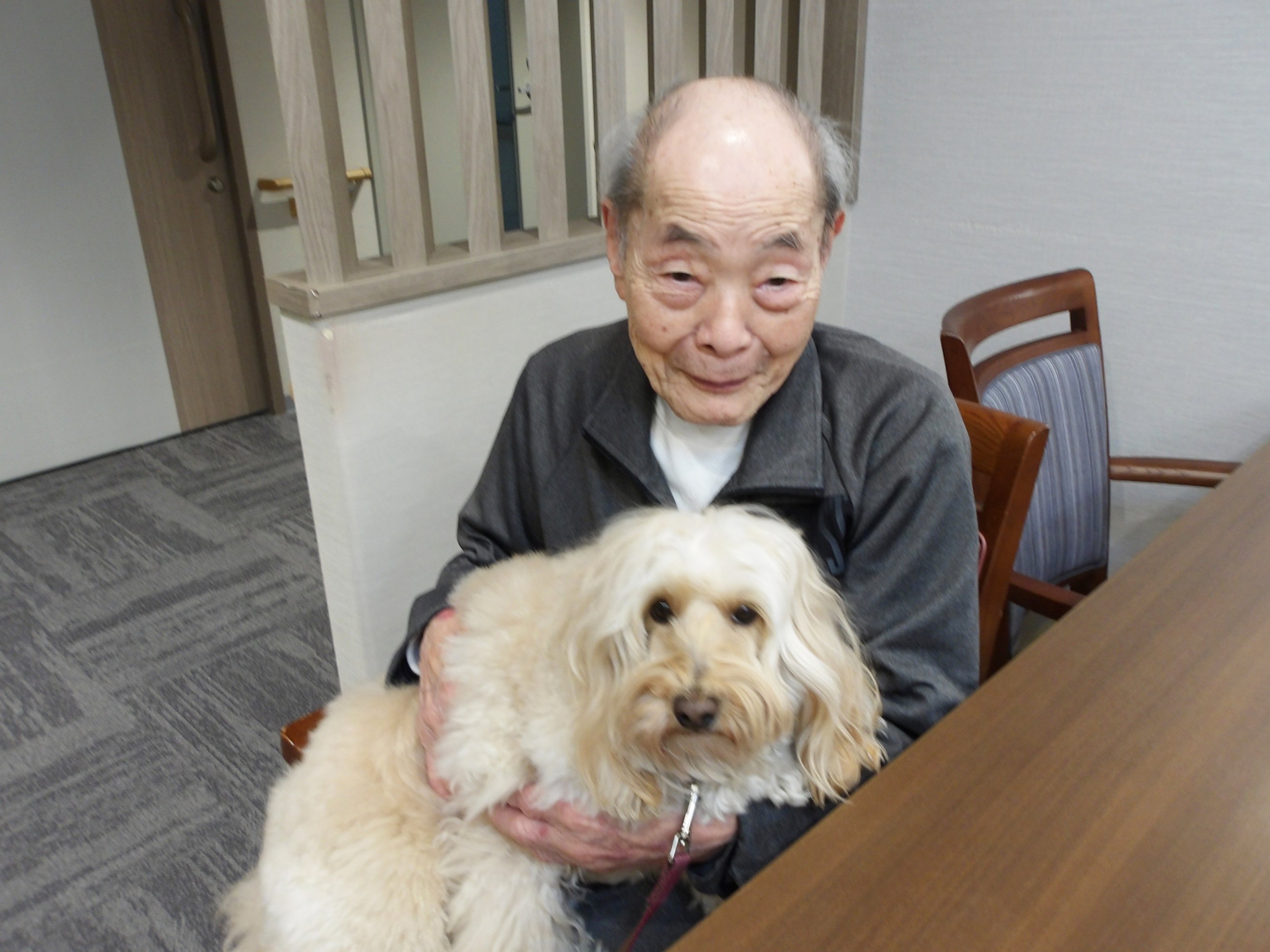 セラピー犬とふれあい-6　ニチイホーム野方