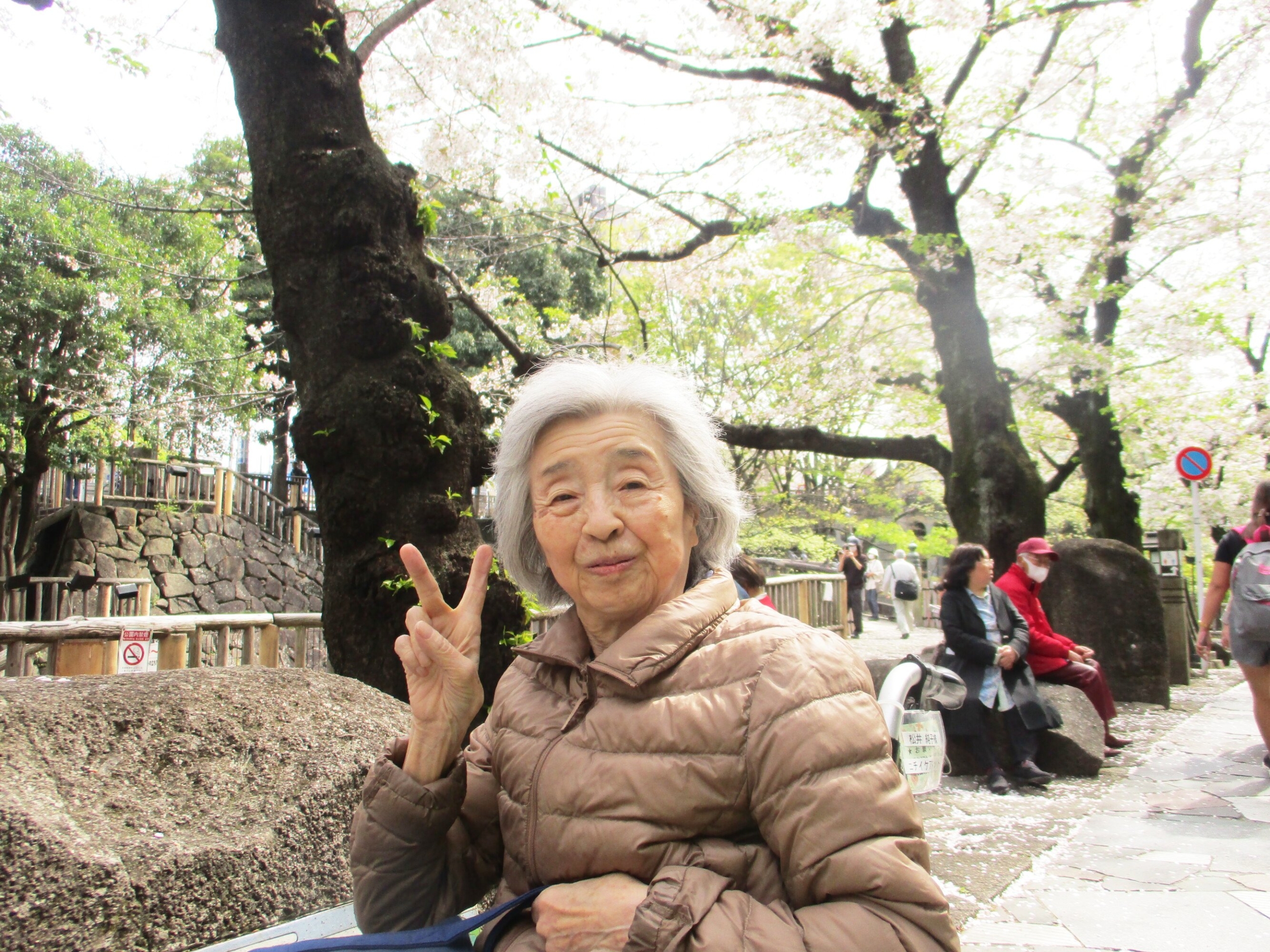 満開の桜-5　ニチイホーム王子