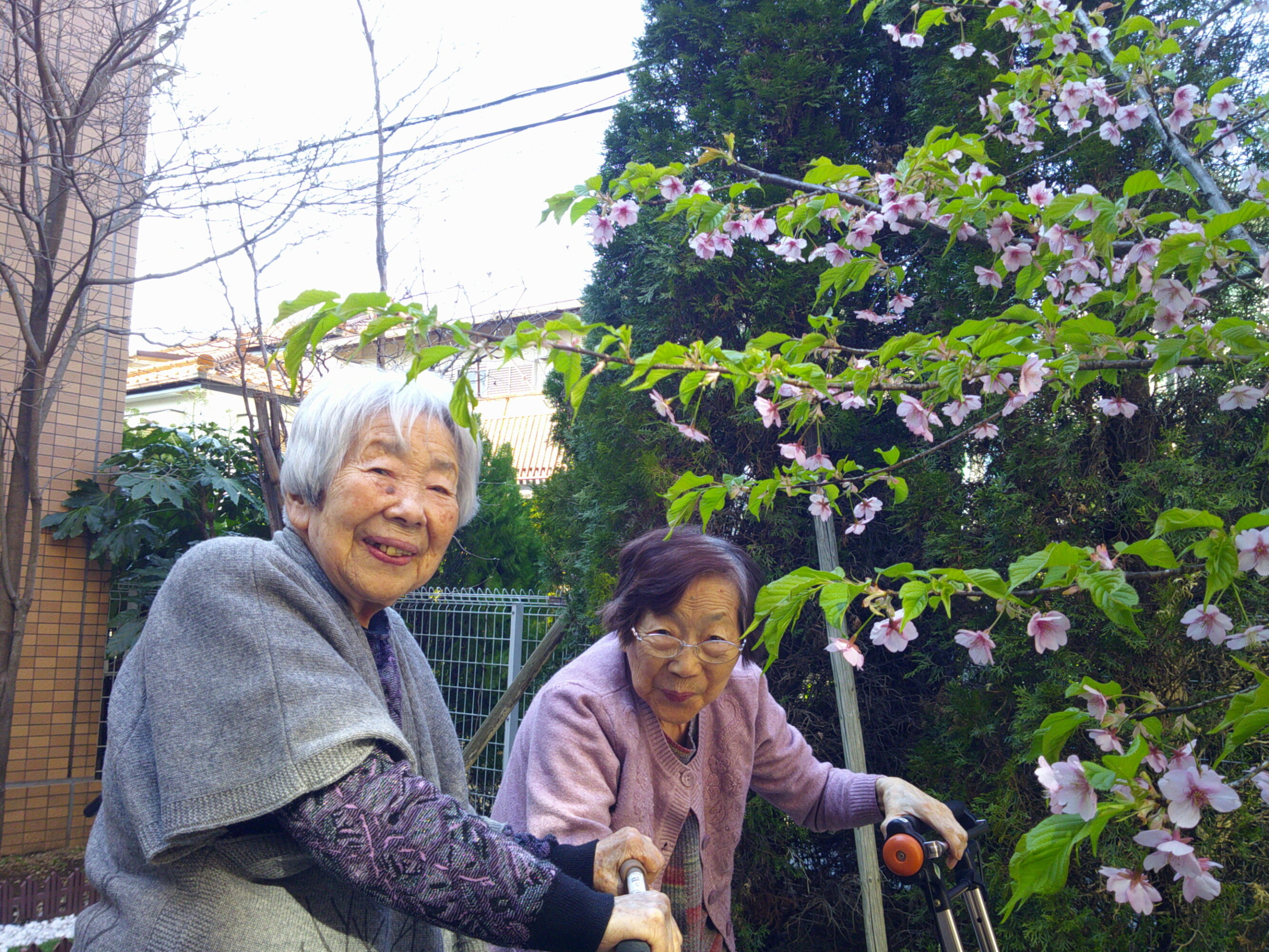 中庭でお花見-2　ニチイホーム大宮