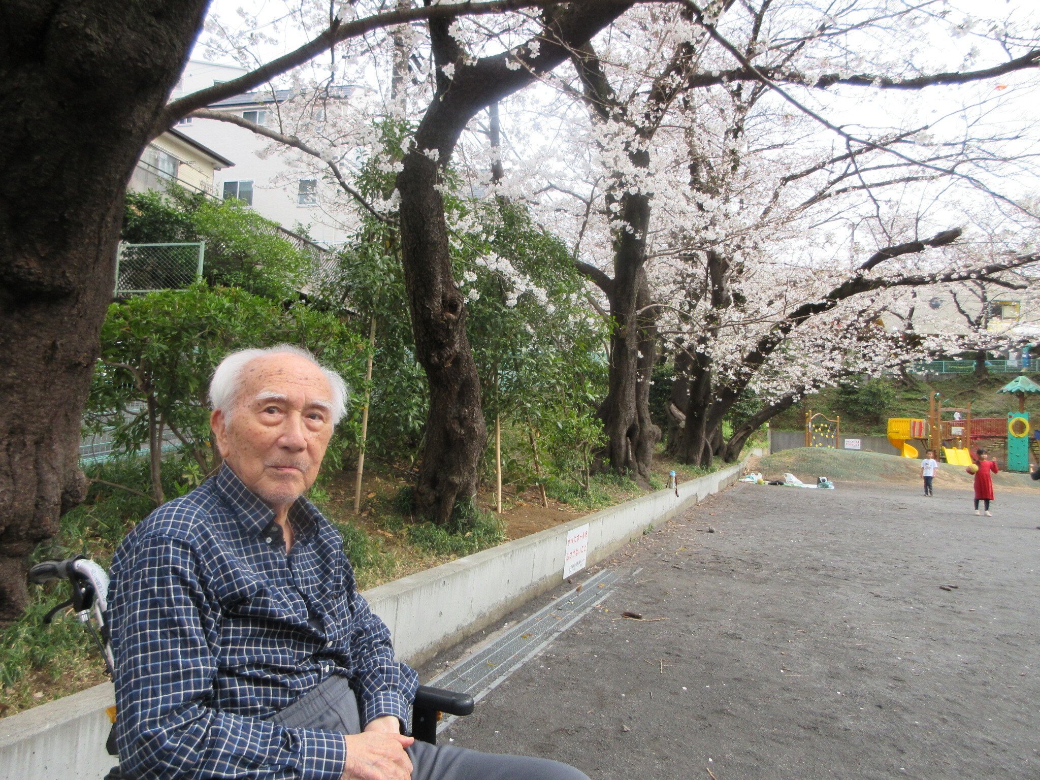 花見-1　ニチイホーム鷺沼