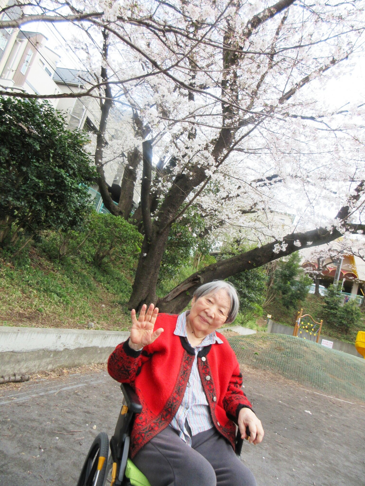 花見-3　ニチイホーム鷺沼