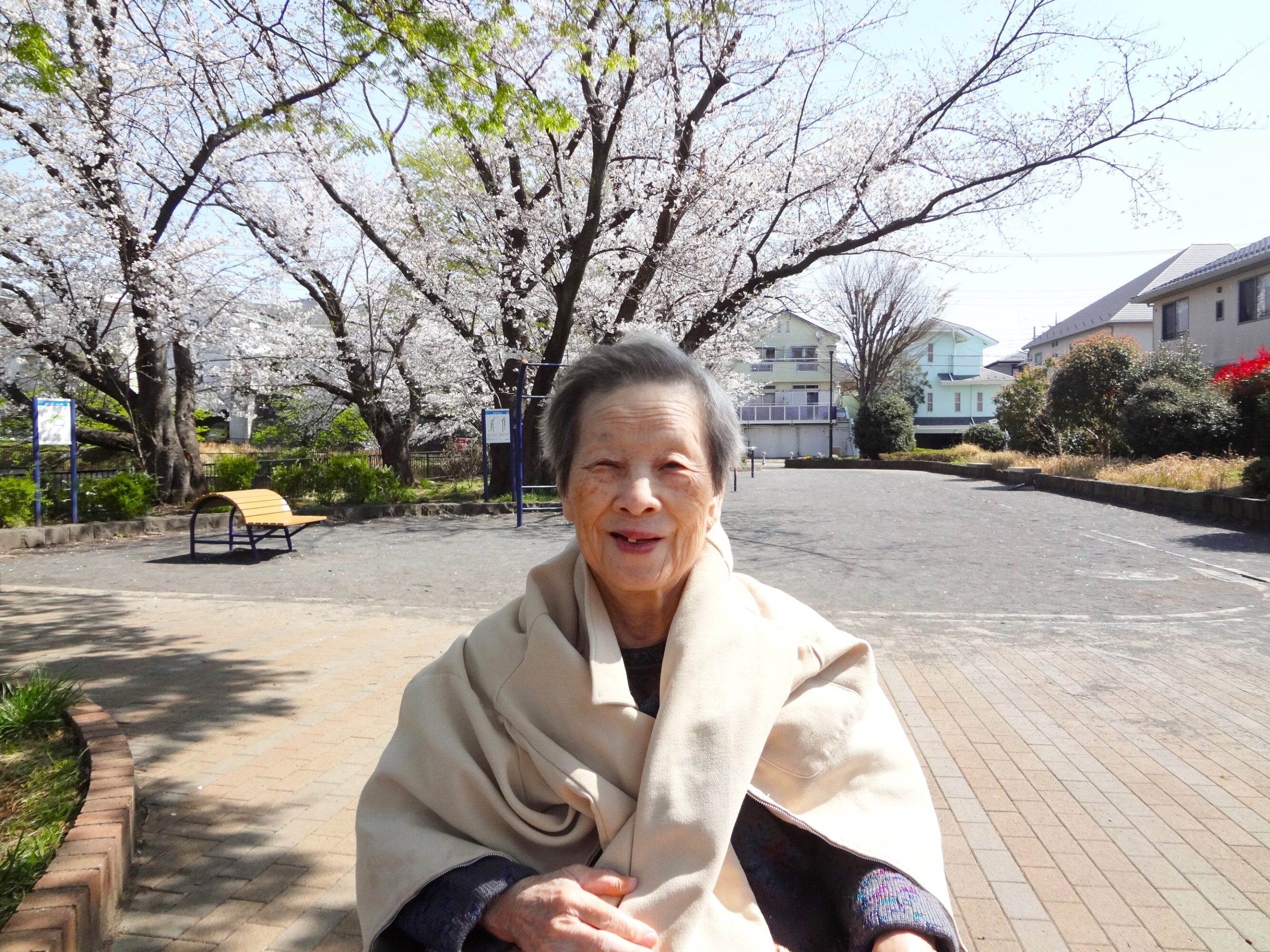 近隣の公園へお花見-1　ニチイホーム鷺沼南