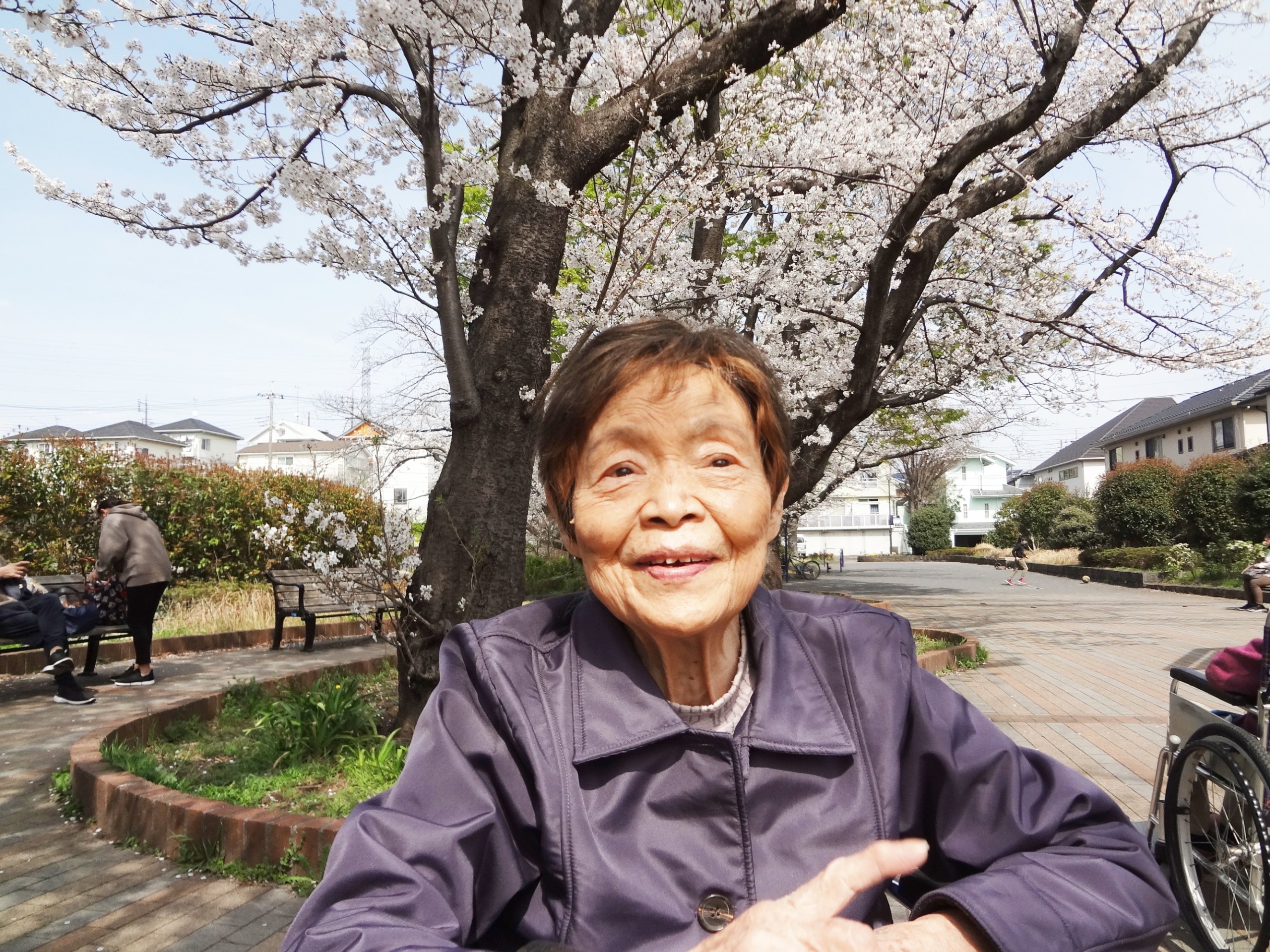 近隣の公園へお花見-5　ニチイホーム鷺沼南