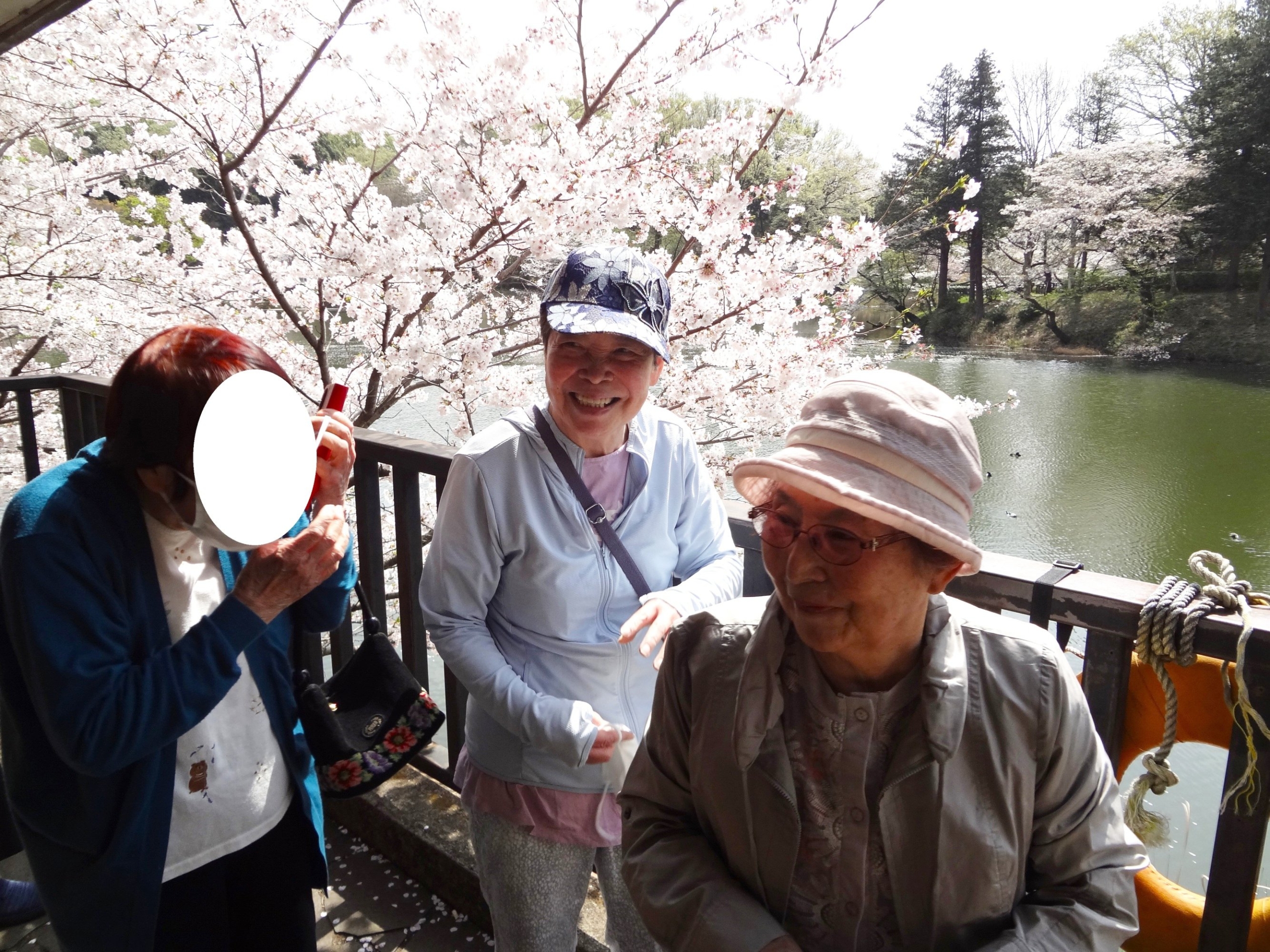 県立公園へお花見-4　ニチイホーム鷺沼南