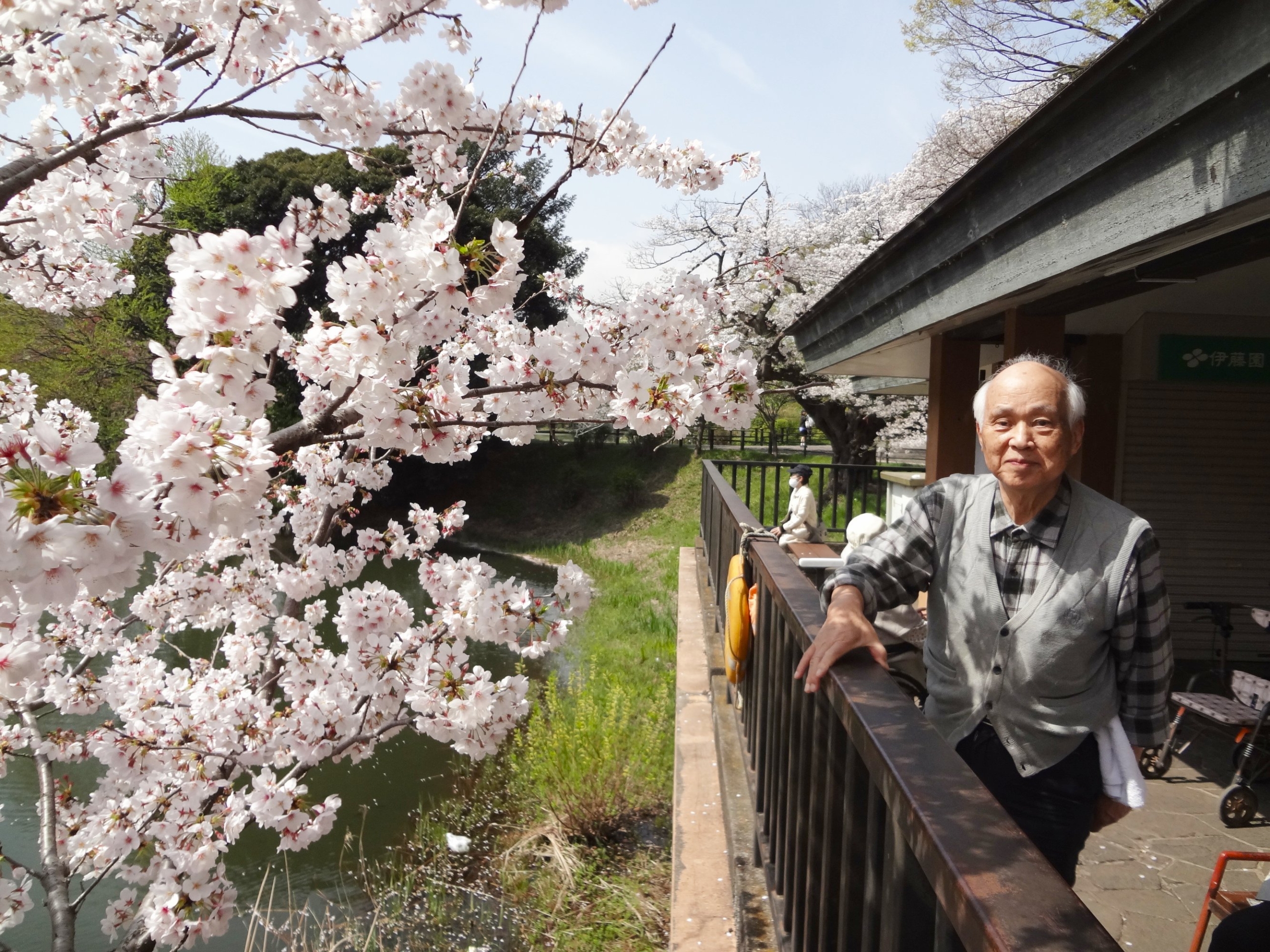 県立公園へお花見-5　ニチイホーム鷺沼南