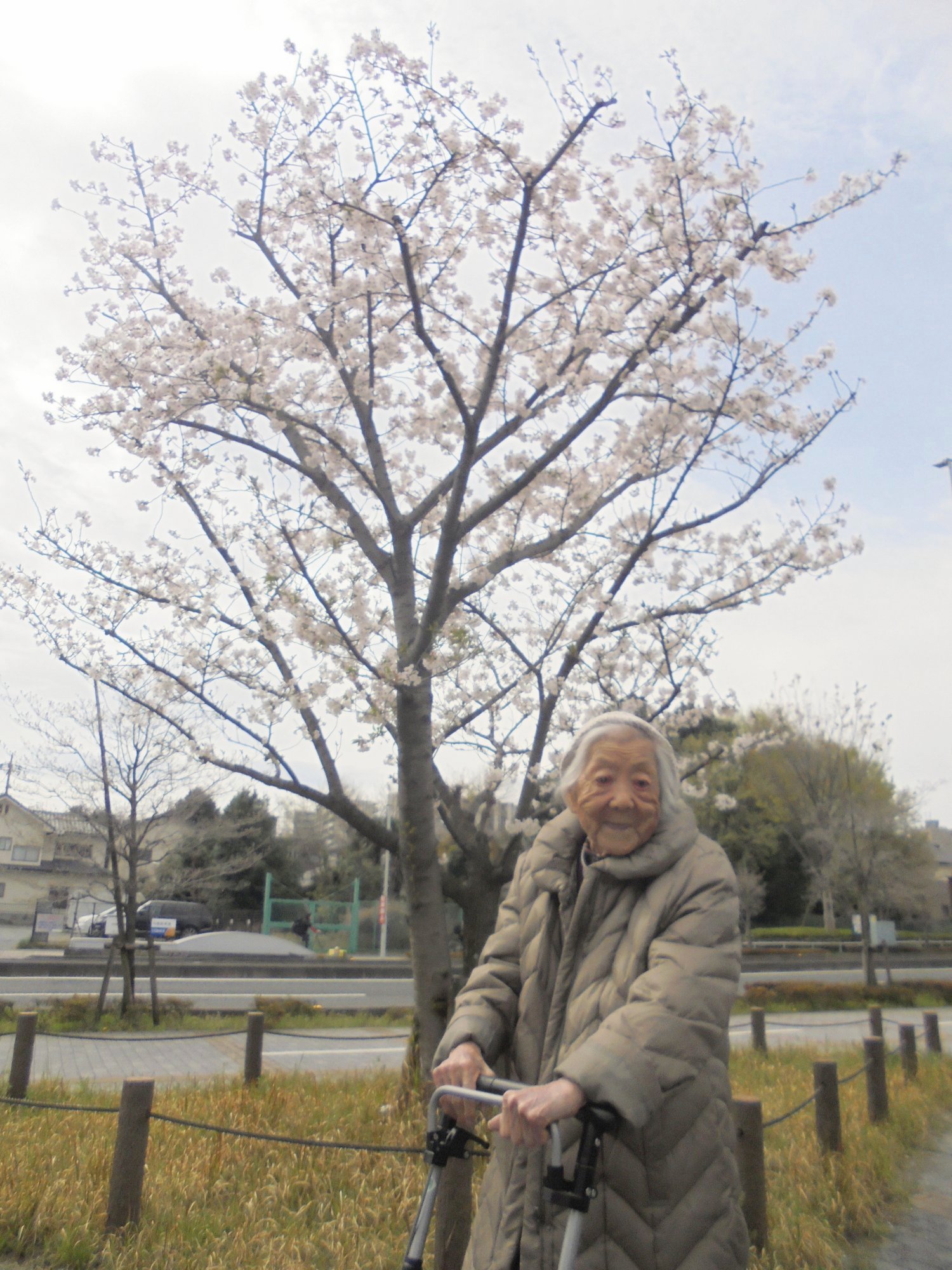 お花見-2　ニチイホームさいたま新都心