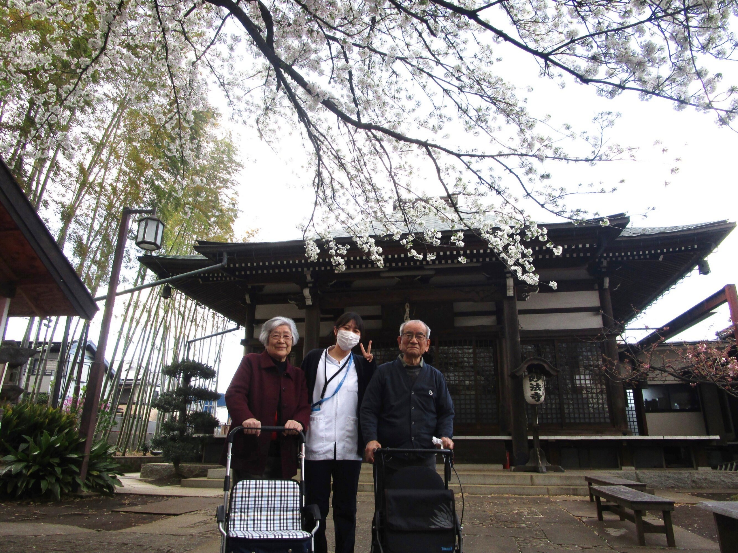 お花見～妙法寺～-1　ニチイホーム成城
