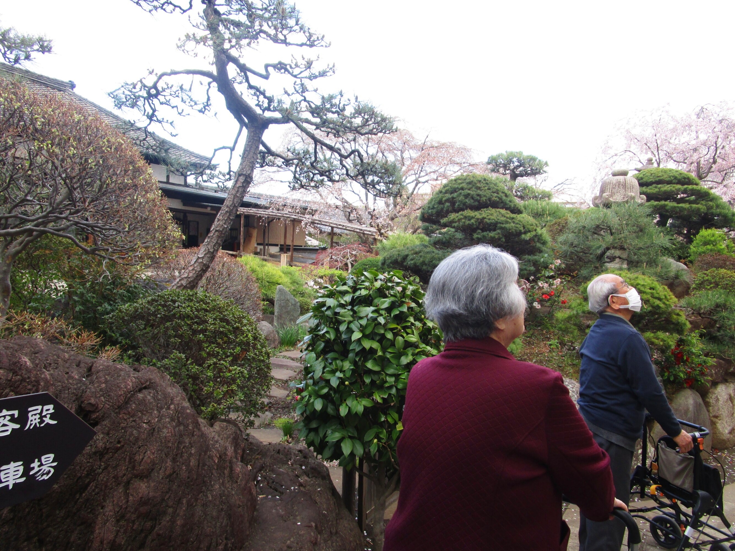 お花見～妙法寺～-3　ニチイホーム成城