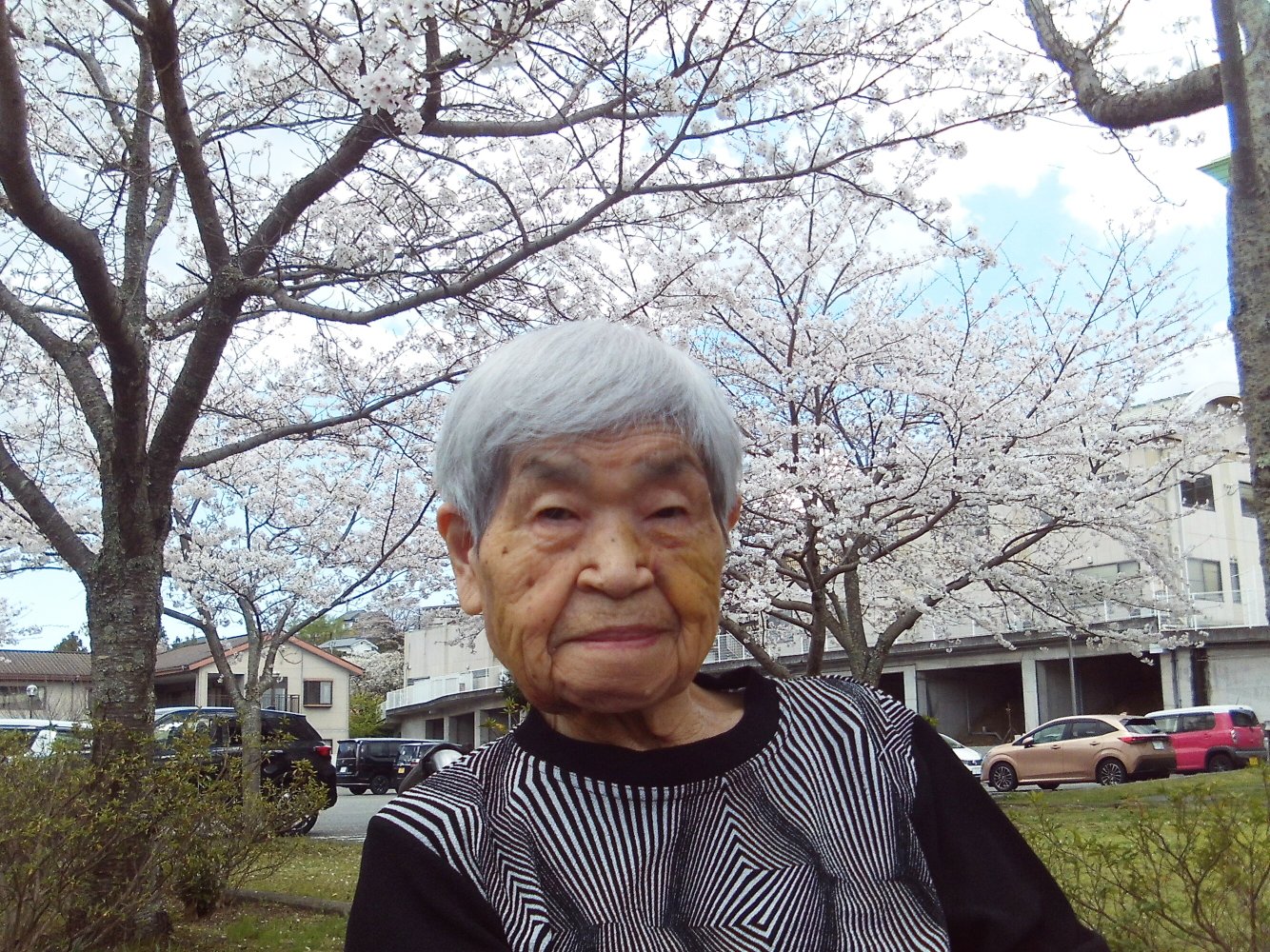 桜の見頃を迎えました-1　ニチイホーム修善寺