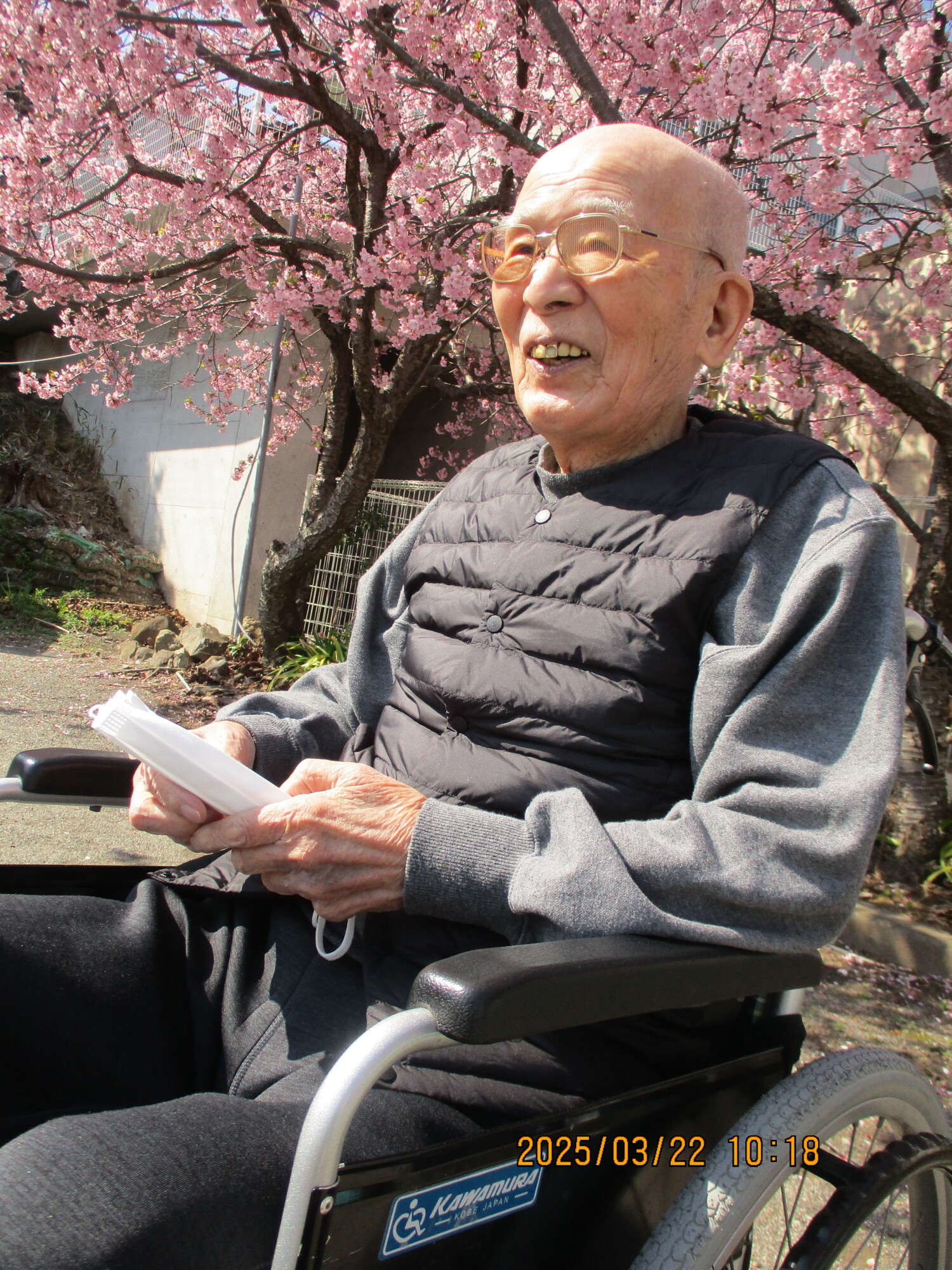 桜の見頃を迎えました-3　ニチイホーム修善寺