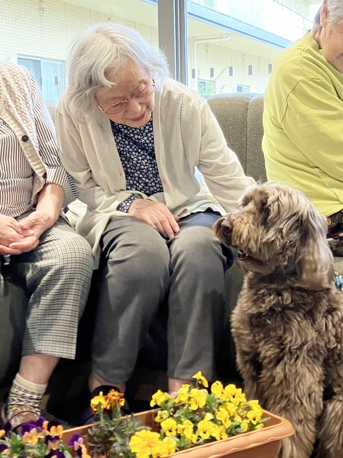 お花とエルくんと写真撮影-4　ニチイホーム杉並松庵
