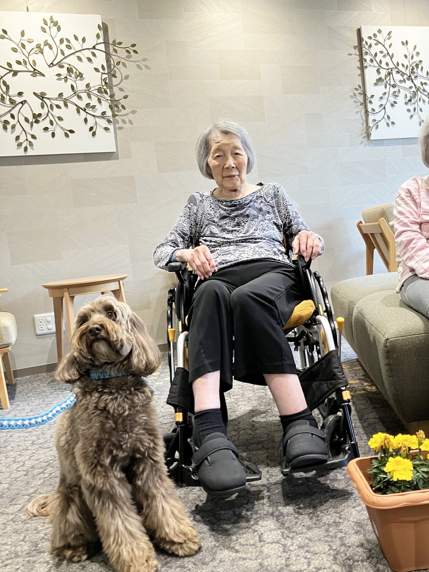 お花とエルくんと写真撮影-5　ニチイホーム杉並松庵