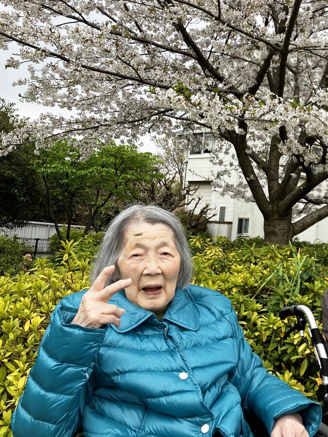 お花見散歩-2　ニチイホーム杉並松庵