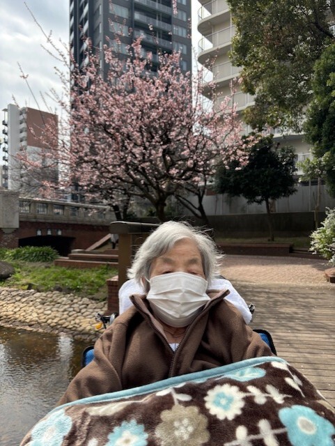 お花見-1　ニチイホーム住吉